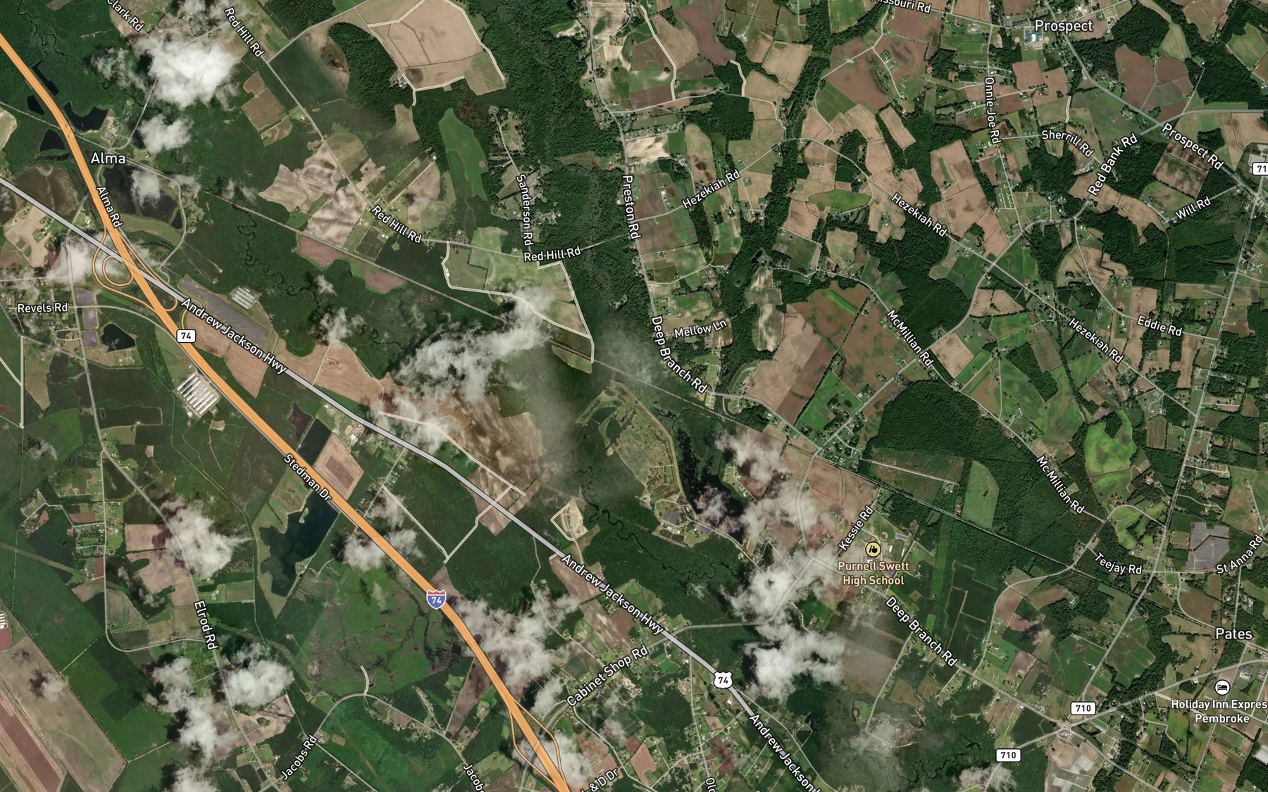 Satellite map of the Gum Swamp