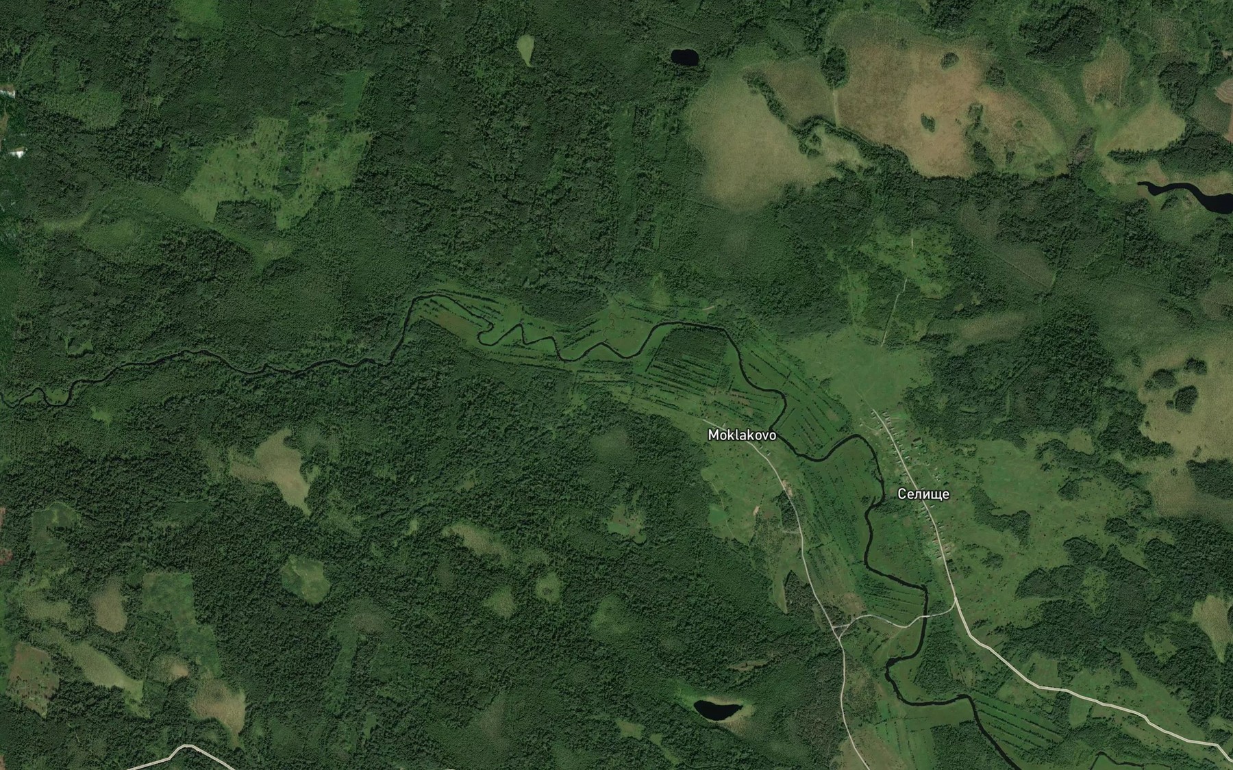 Satellite map of the Pchelinka