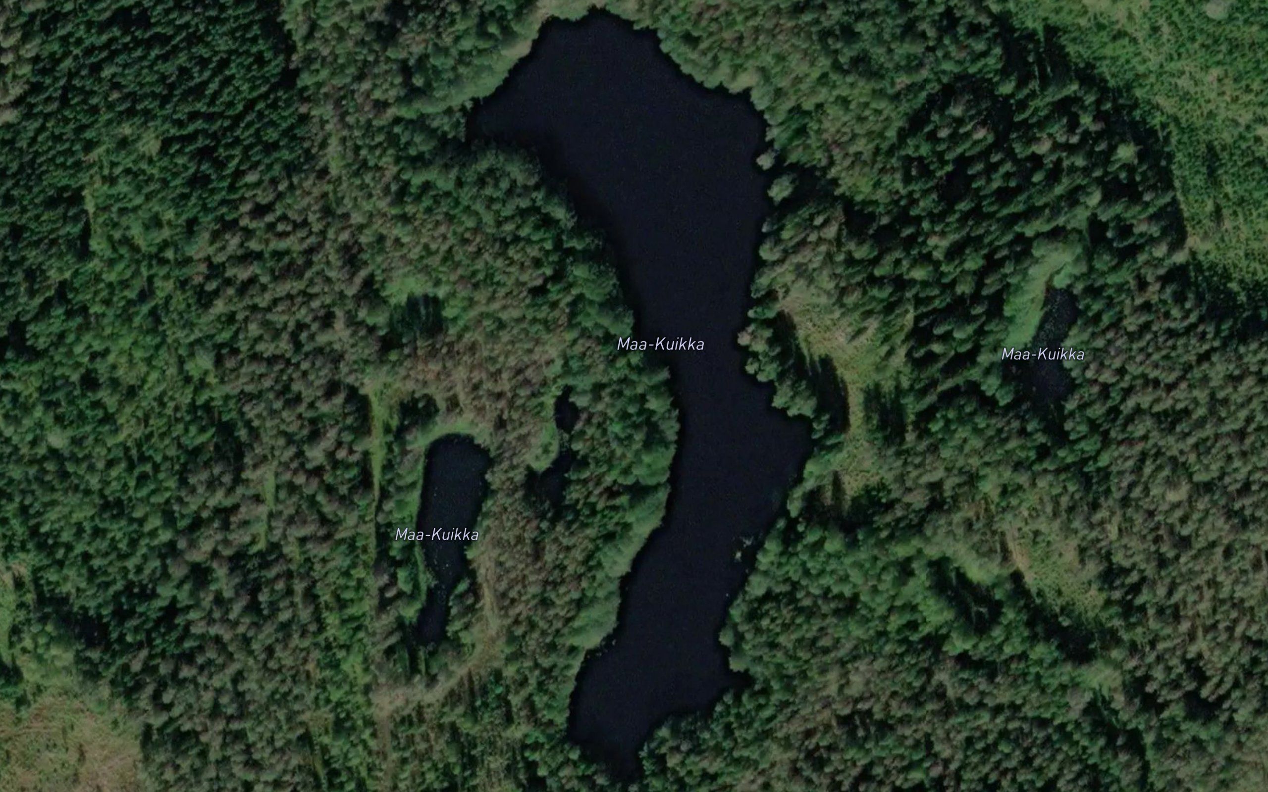 Maa-Kuikka