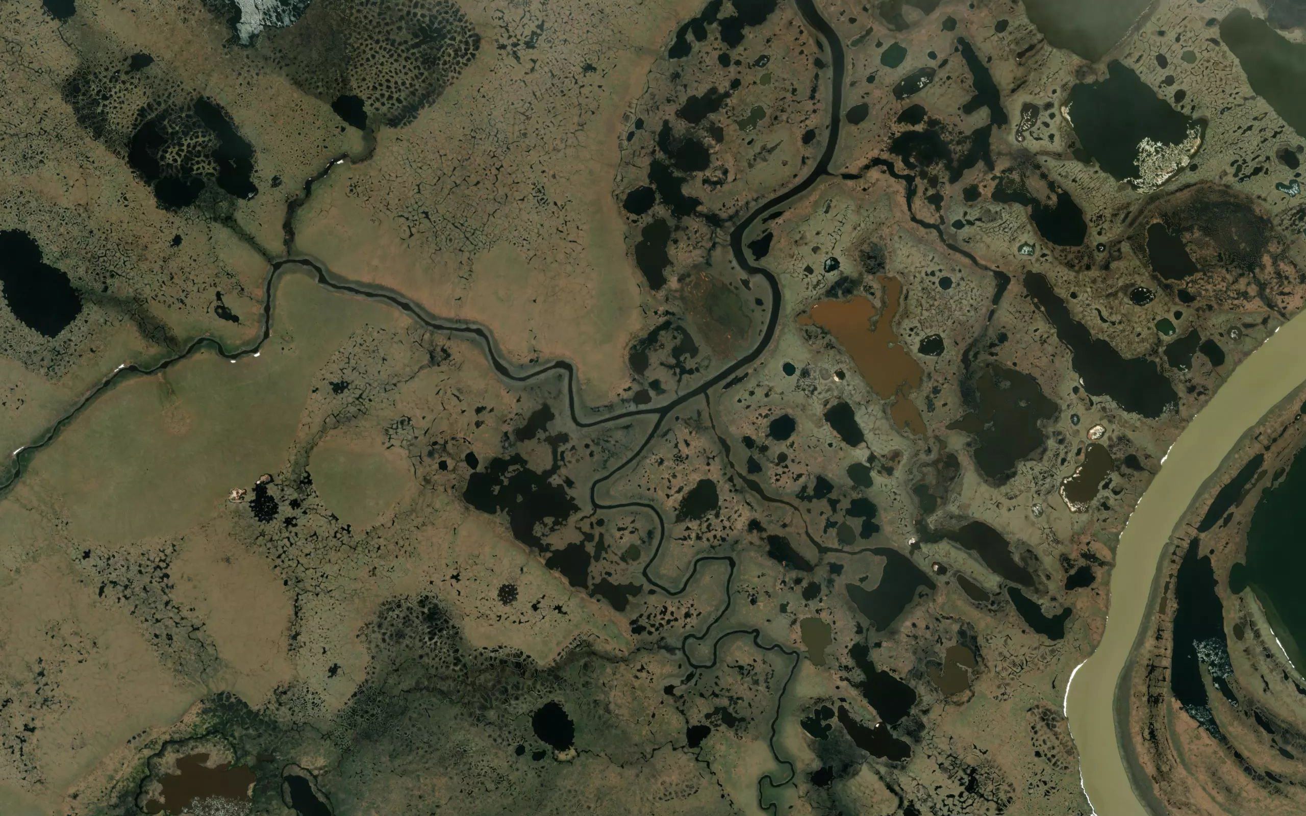 Kuul'