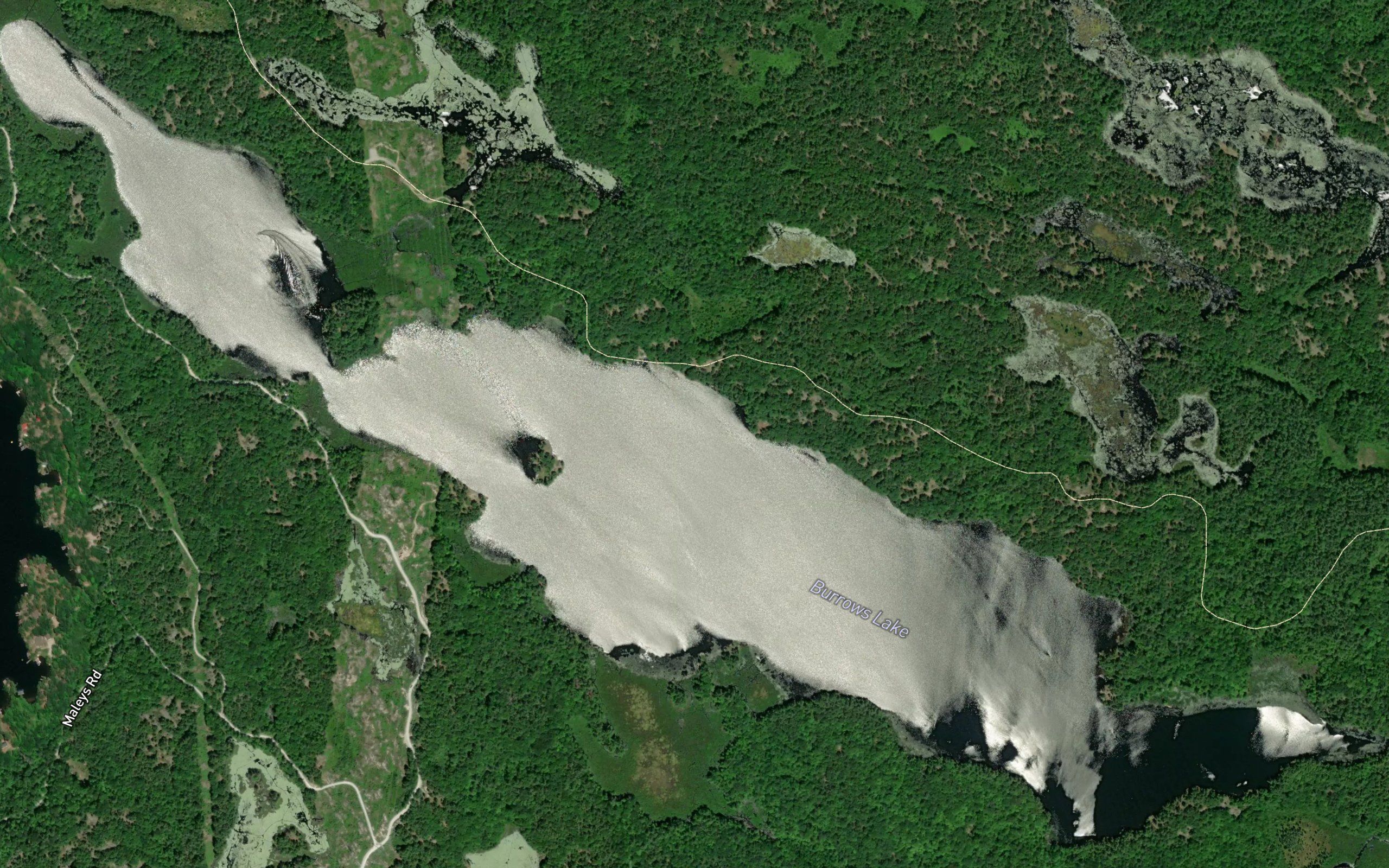 Burrows Lake