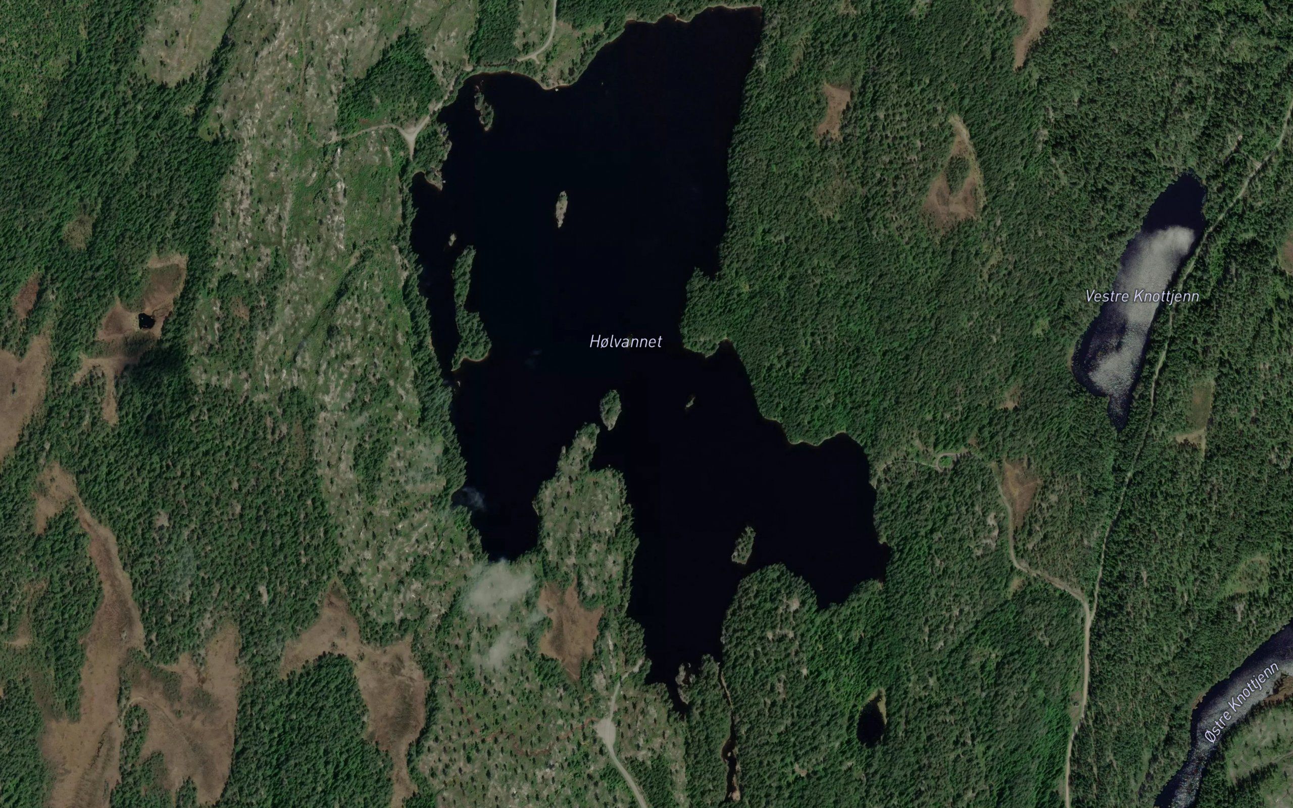 Holvannet