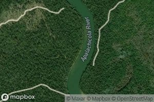 Ammonia River Sand Slough