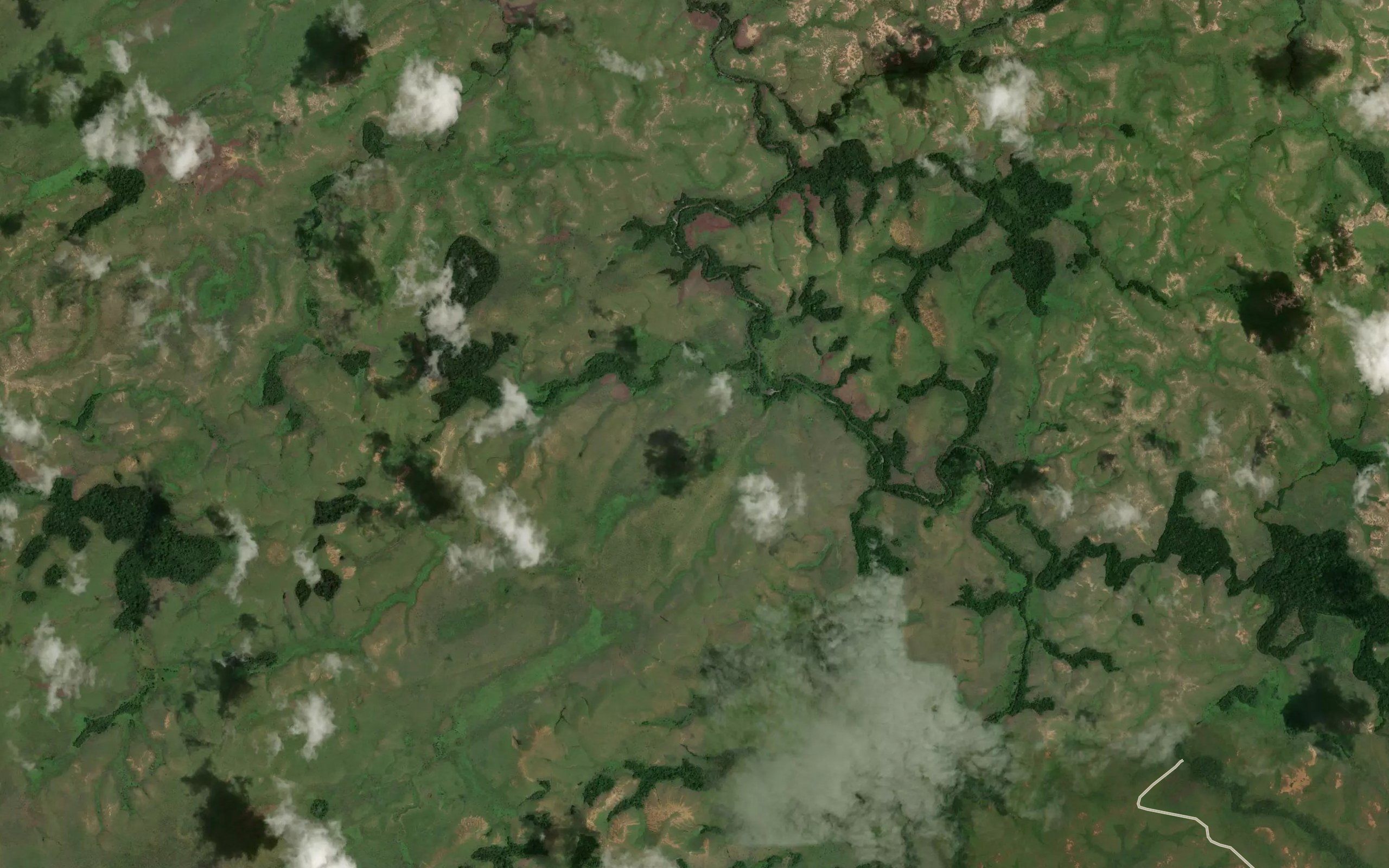 Senzele