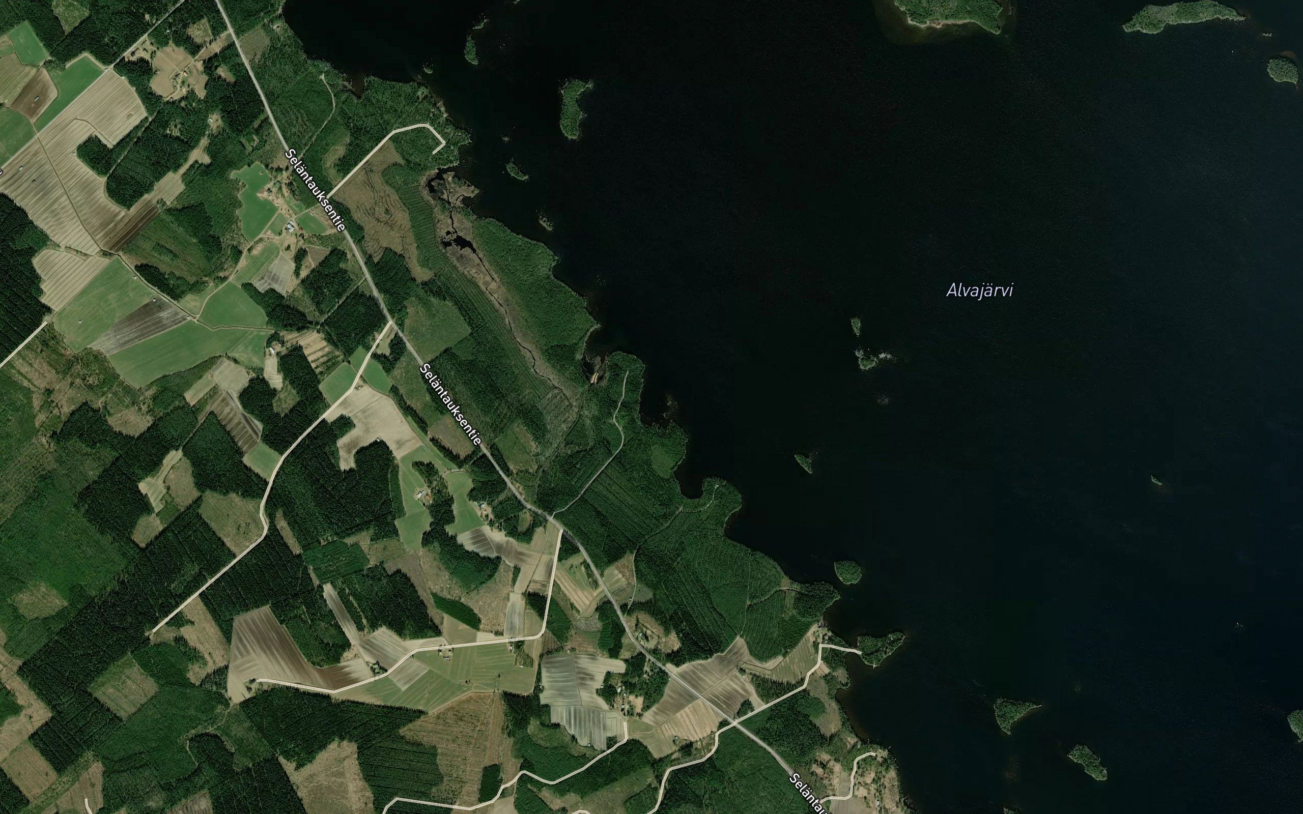 Kotalahti