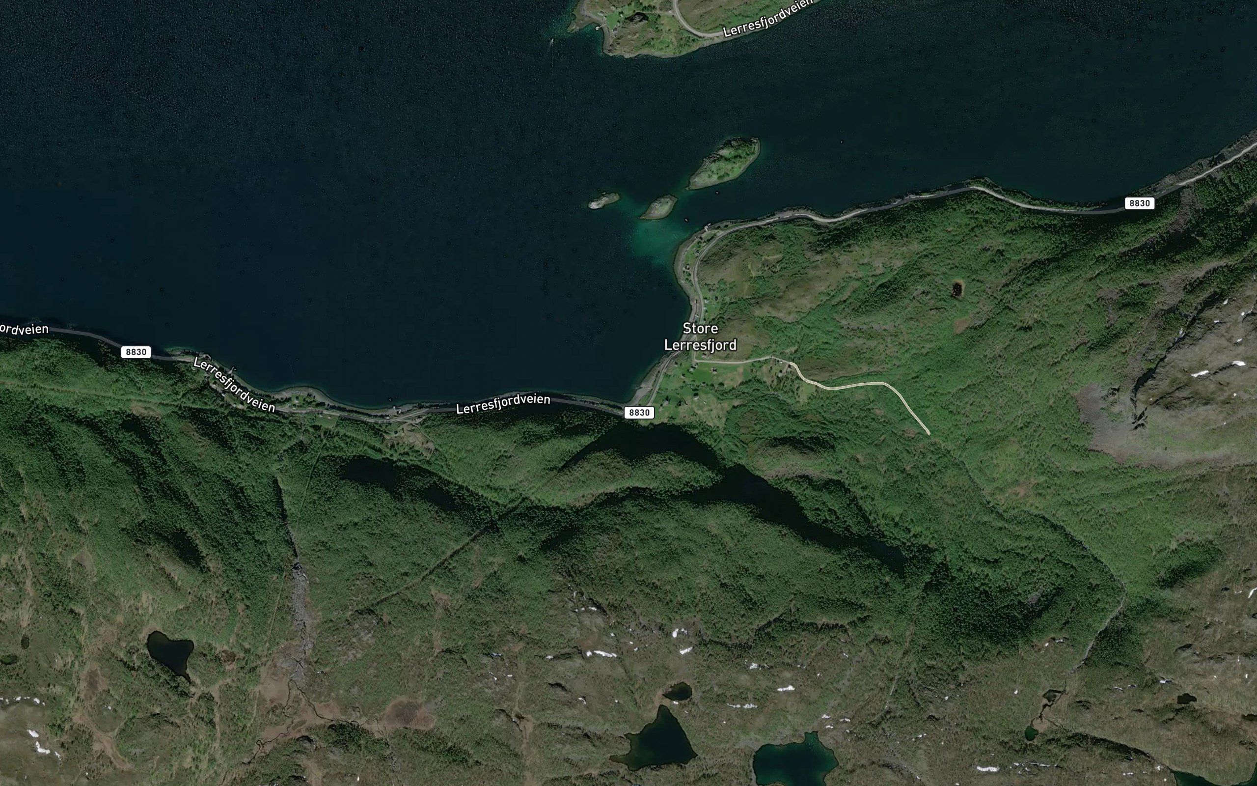 Elvebukta