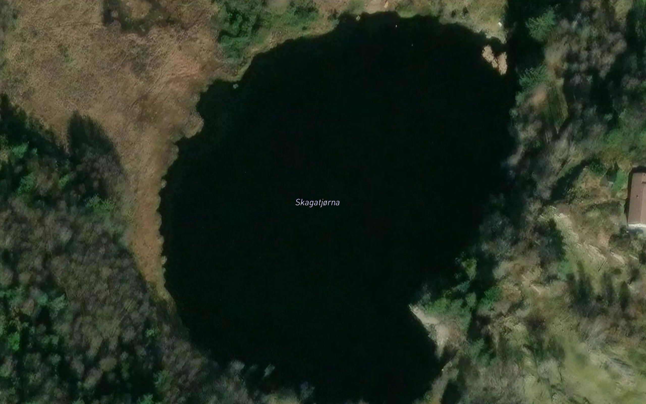 Skagatjorna