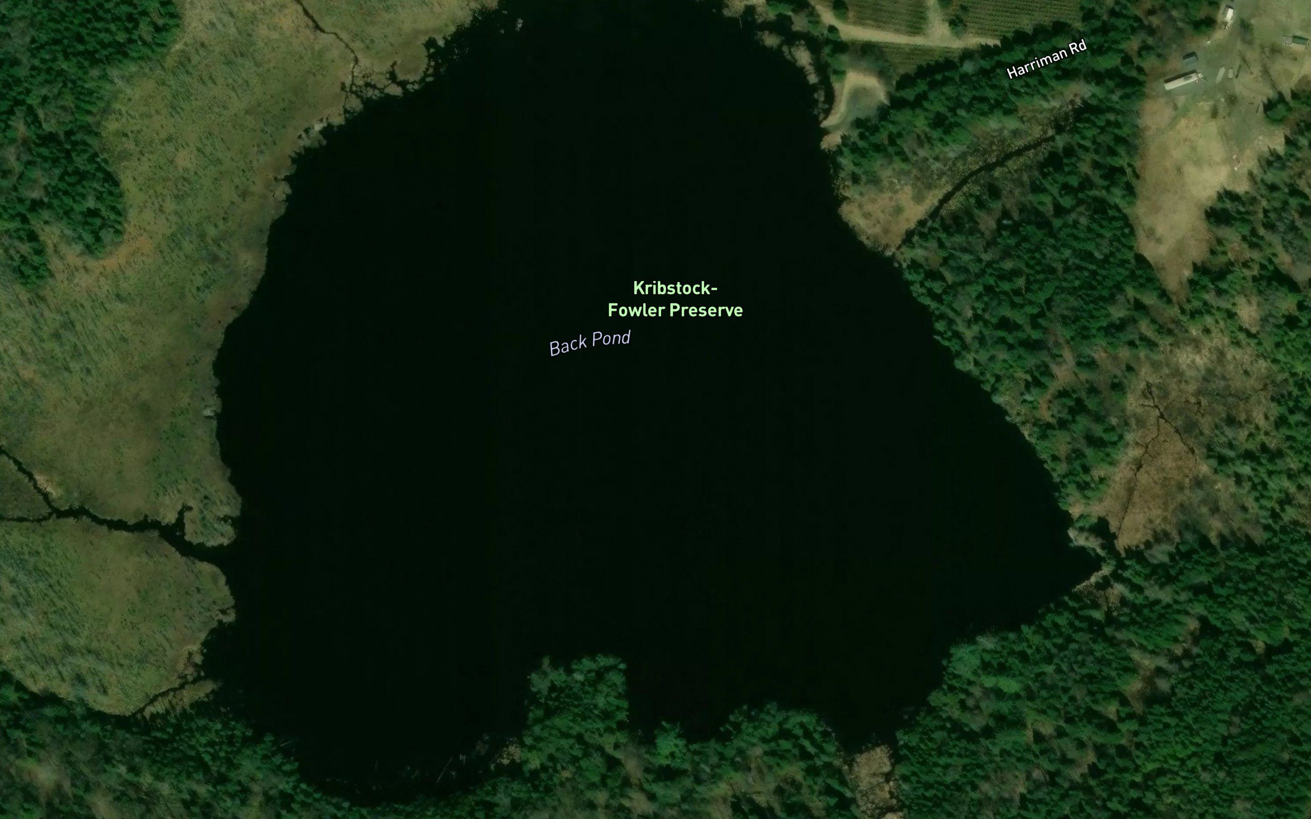 Back Pond