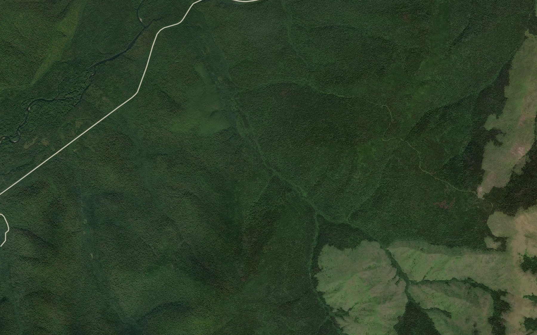 Satellite map of the Michina