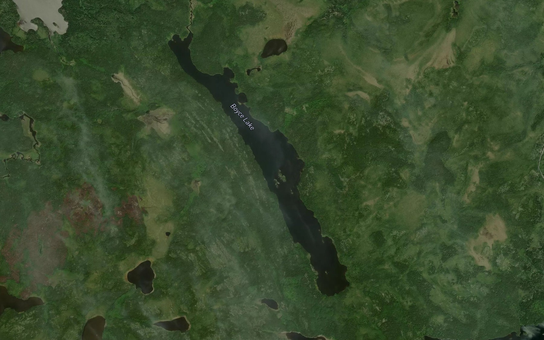 Satellite map of the Boyce Lake