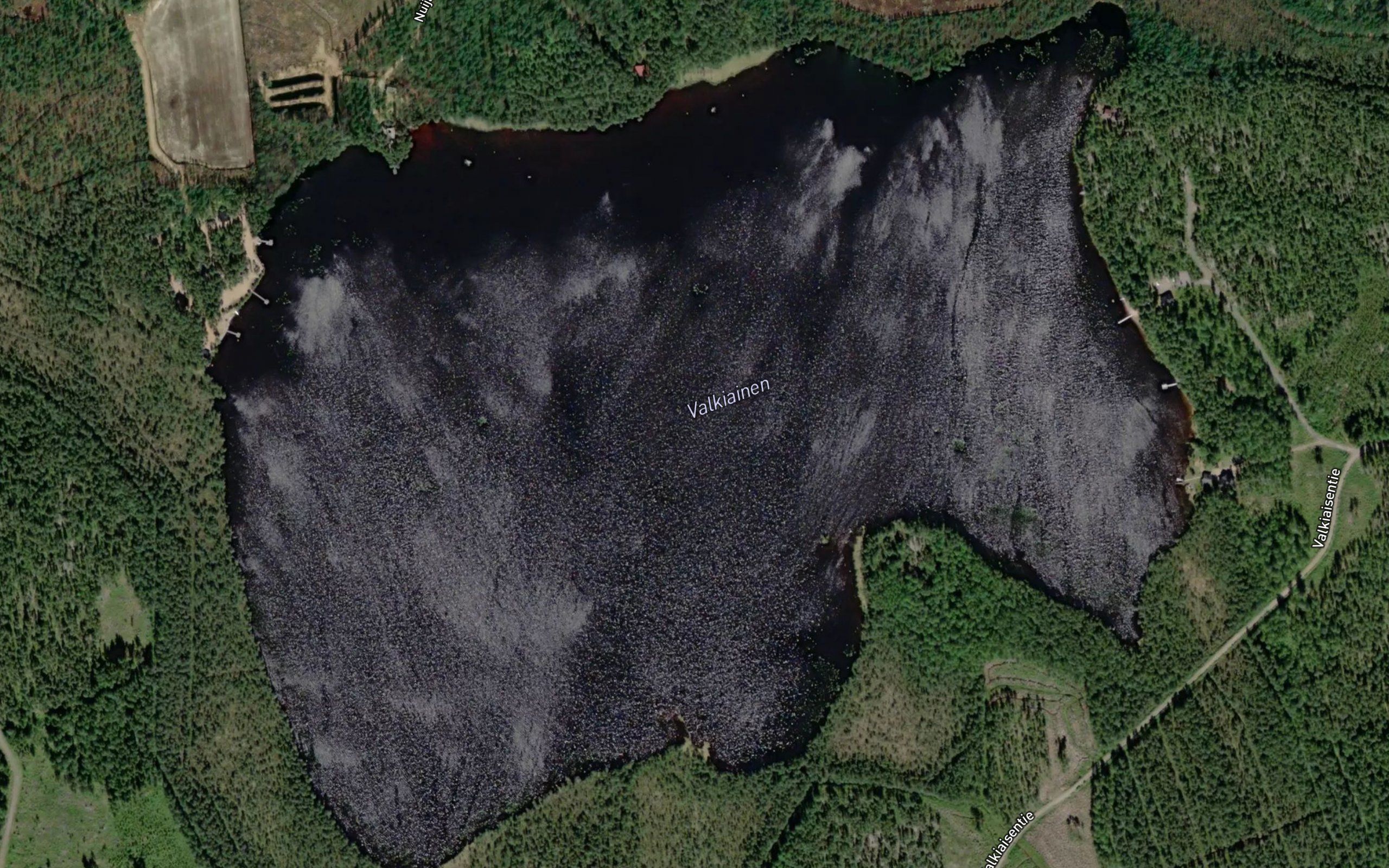 Valkiainen