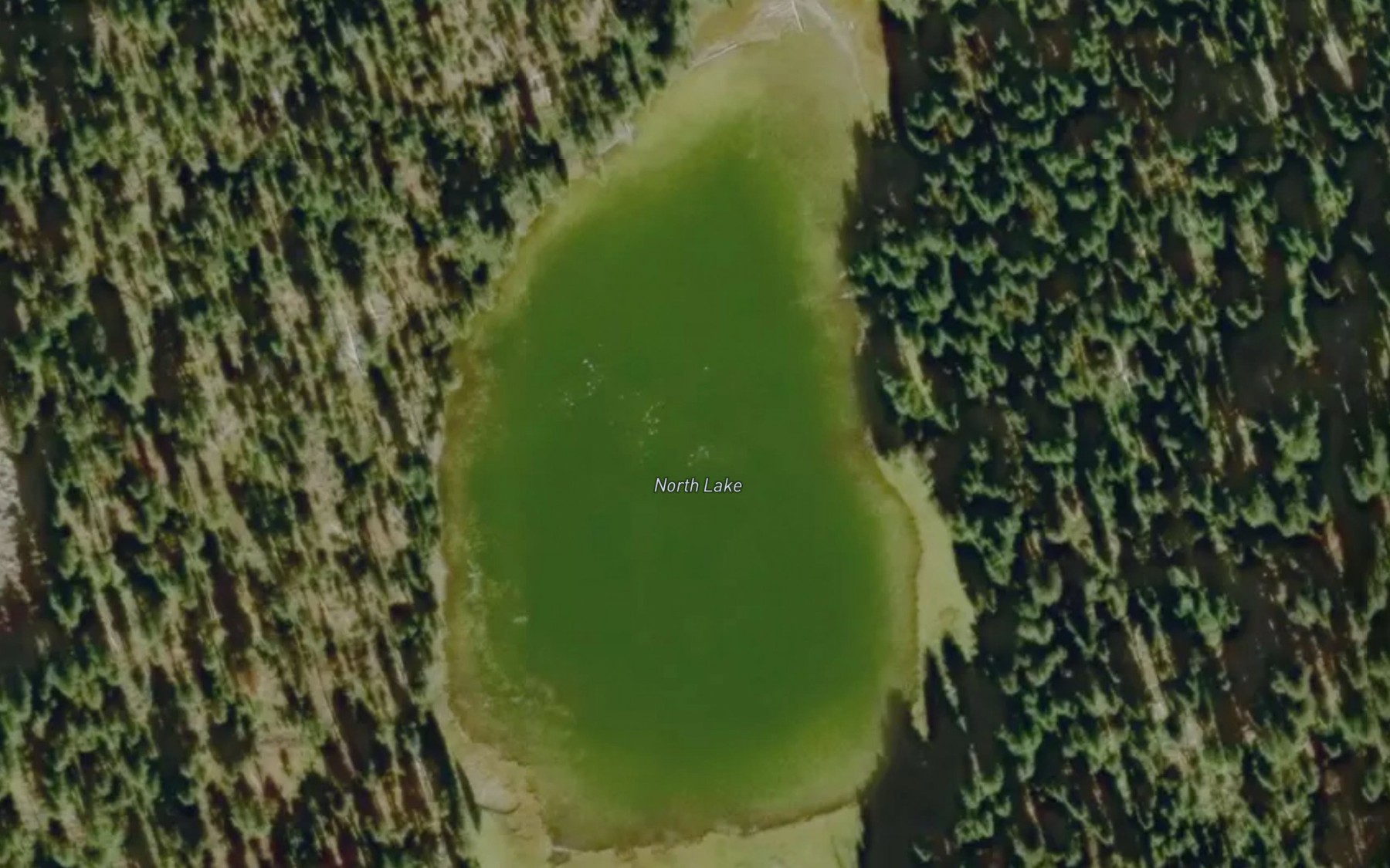 Satellite map of the North Lake