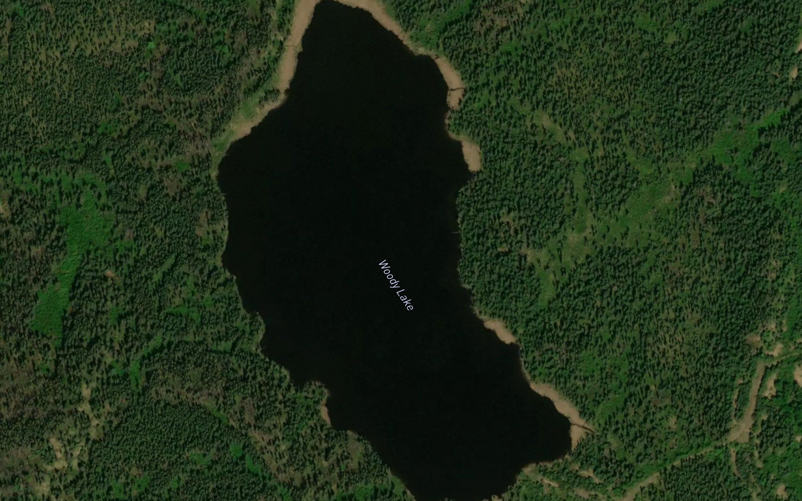 Woody Lake