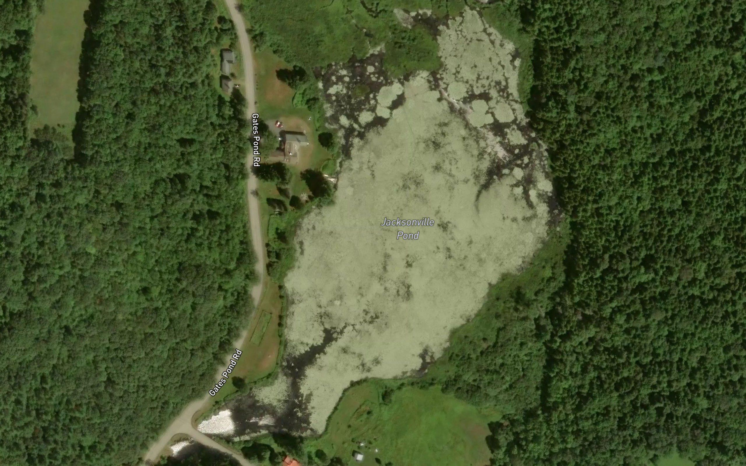 Jacksonville Pond