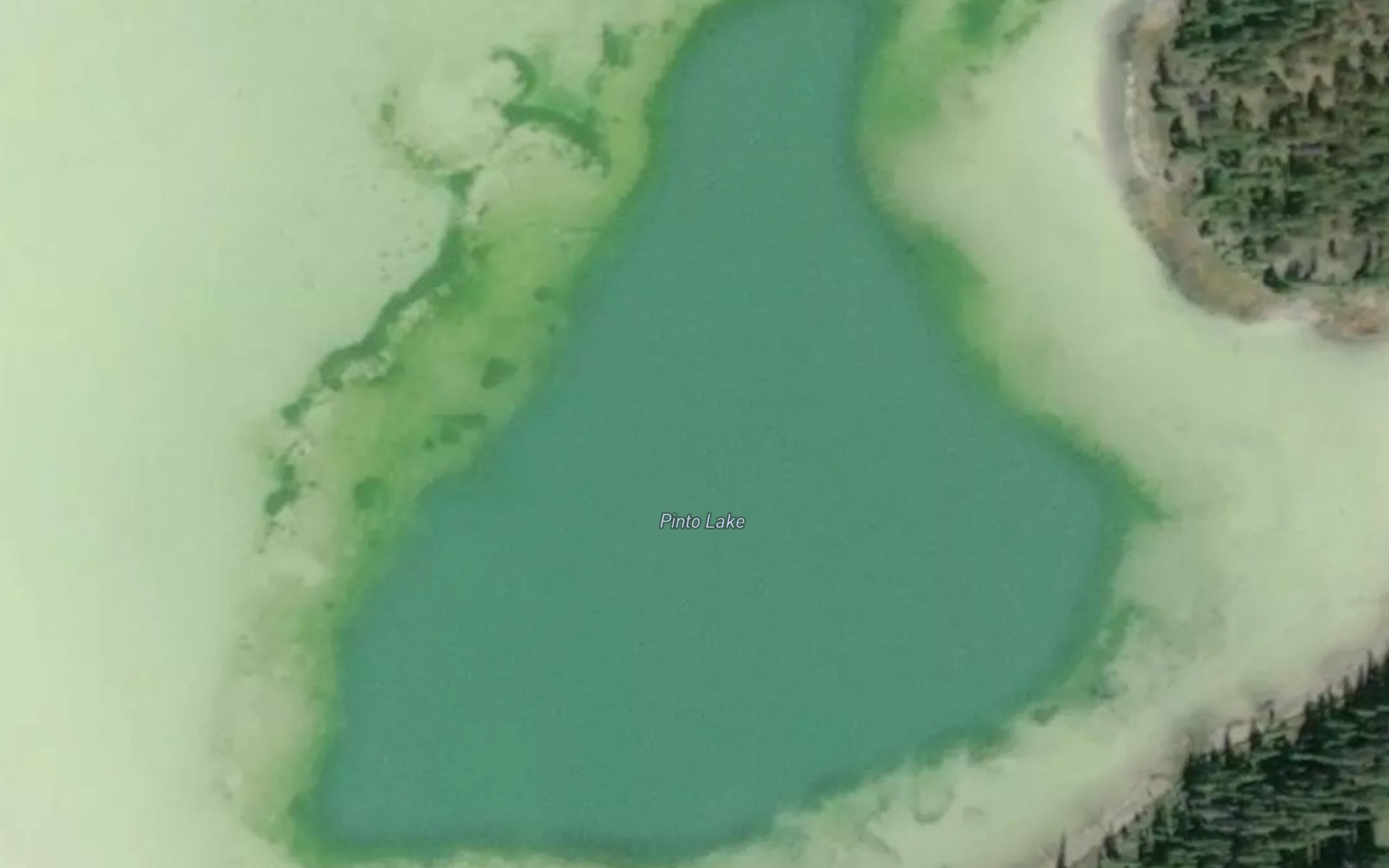 Satellite map of the Pinto Lake