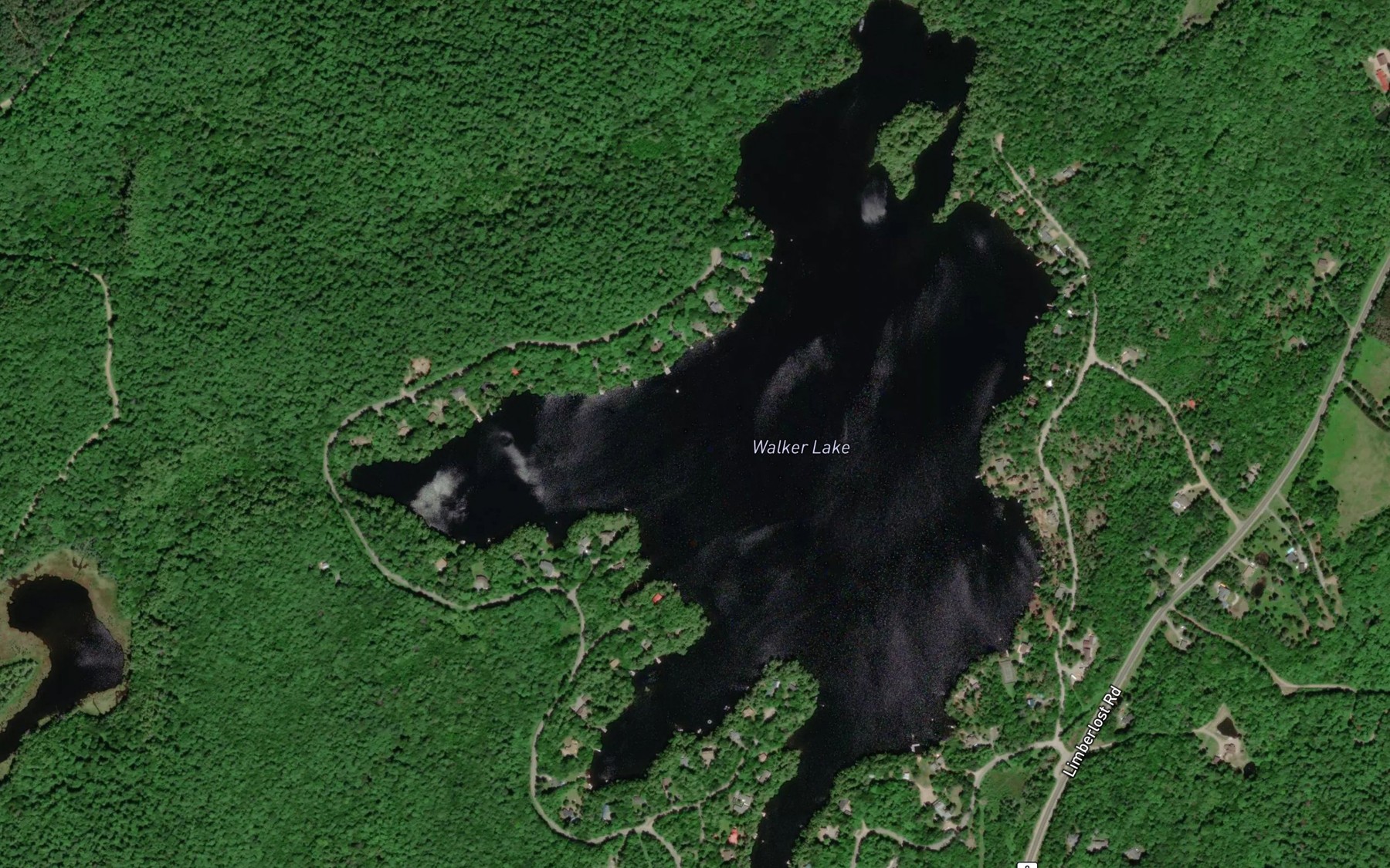 Satellite map of the Walker Lake