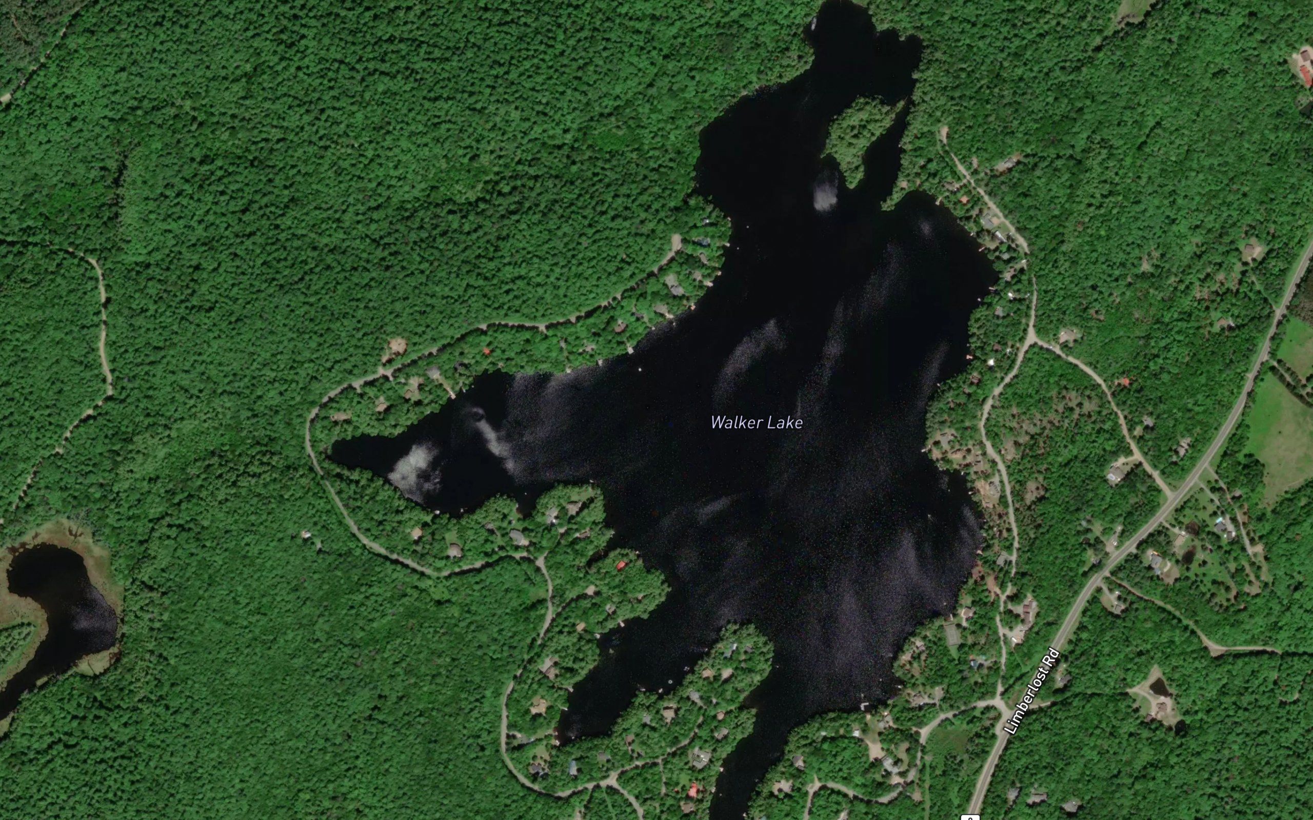 Walker Lake