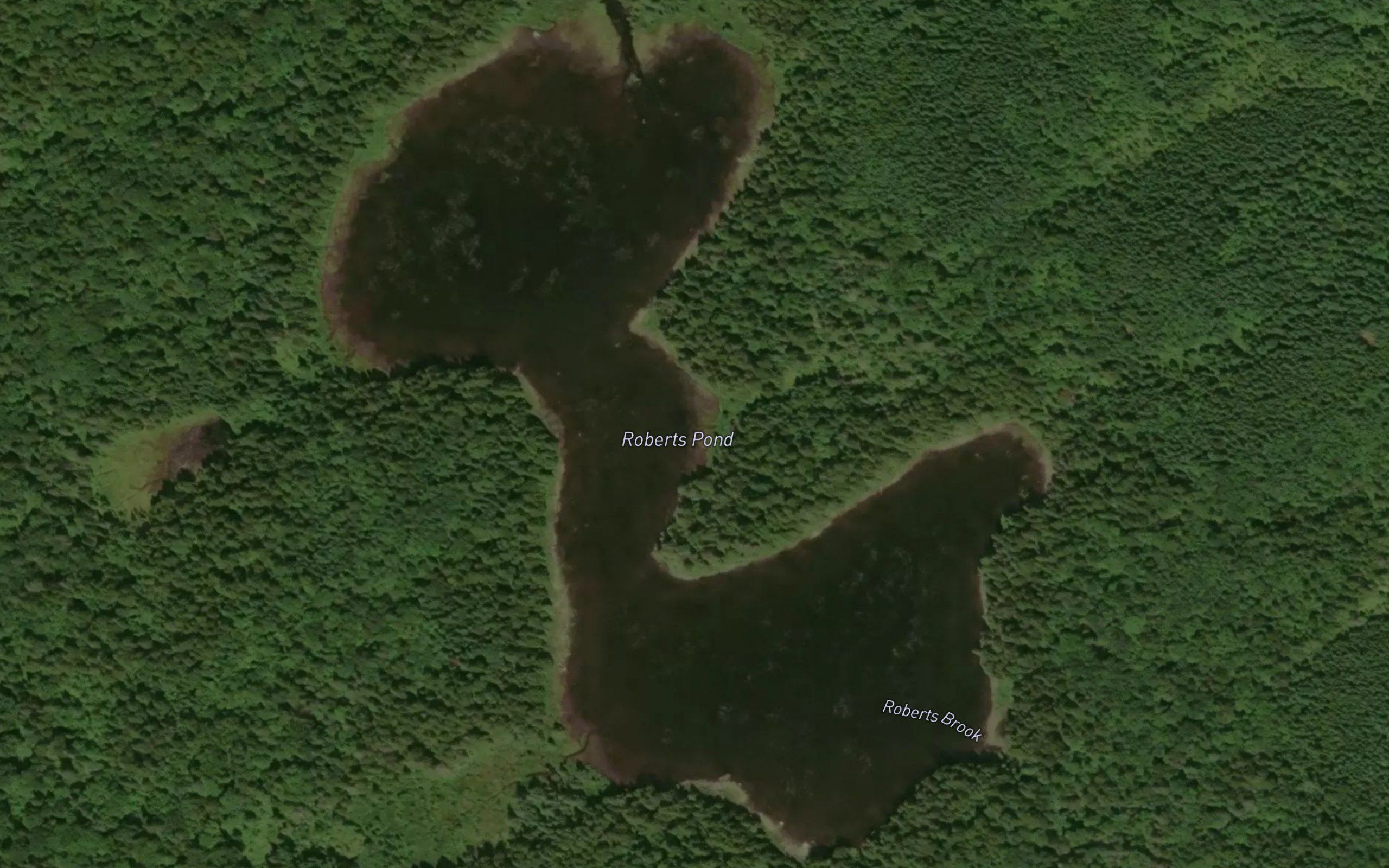 Roberts Pond