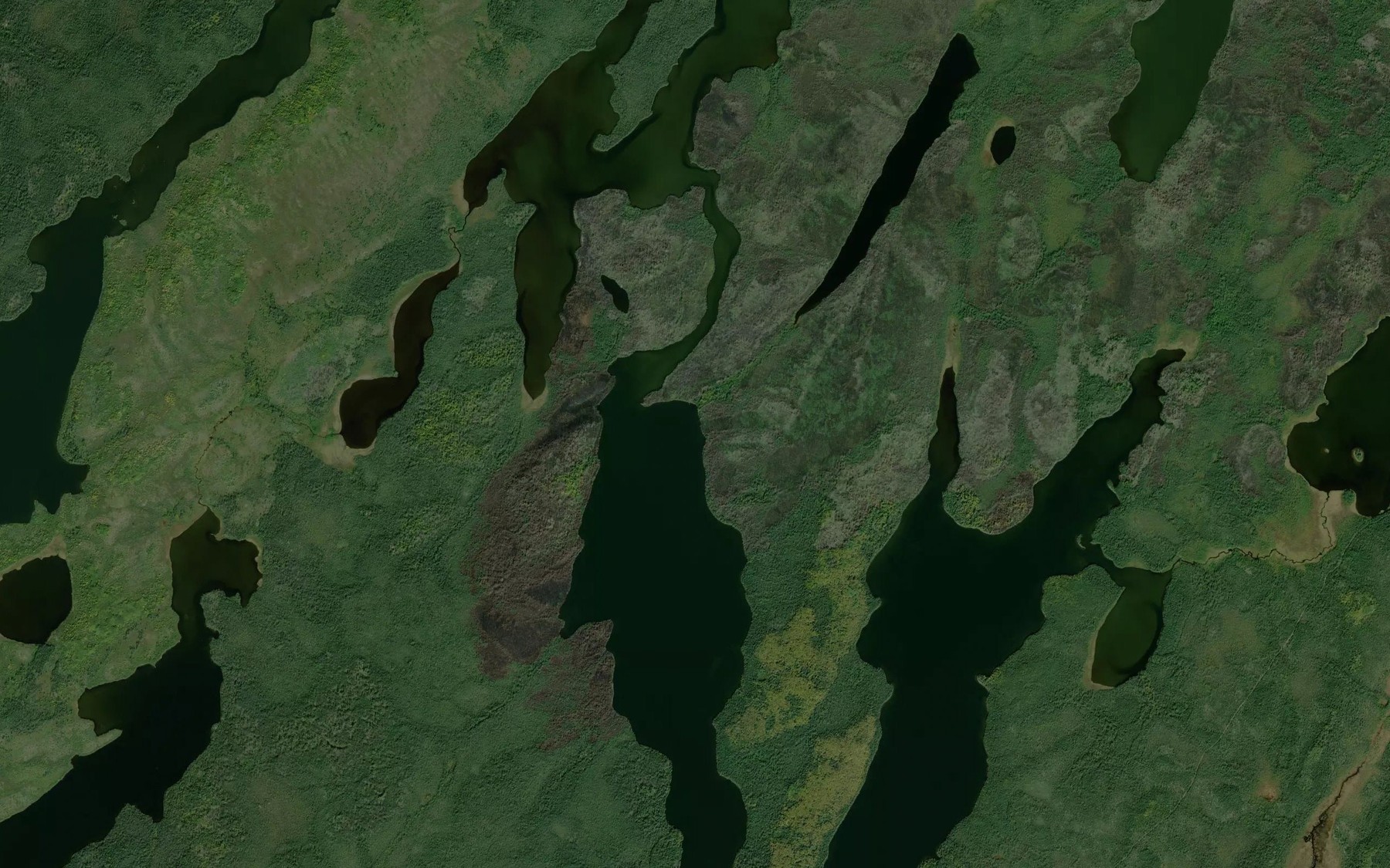 Satellite map of the Bartman Lake