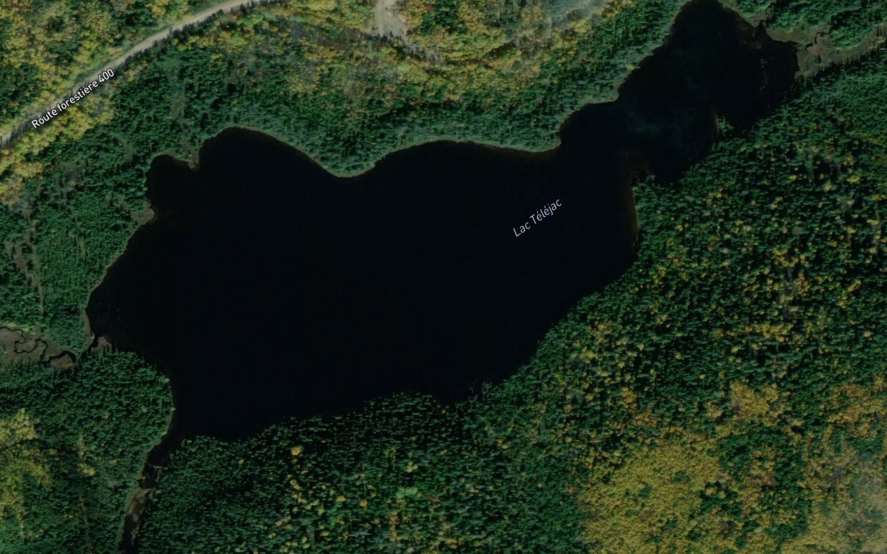 Satellite map of the Lac Telejac