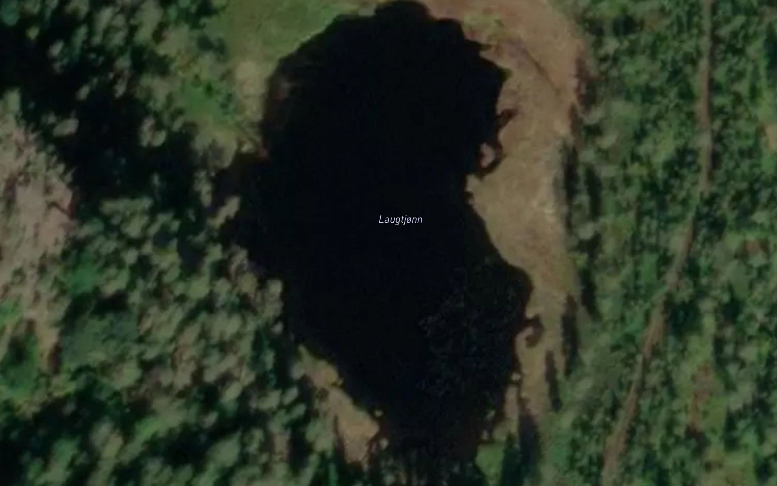 Laugtjorn