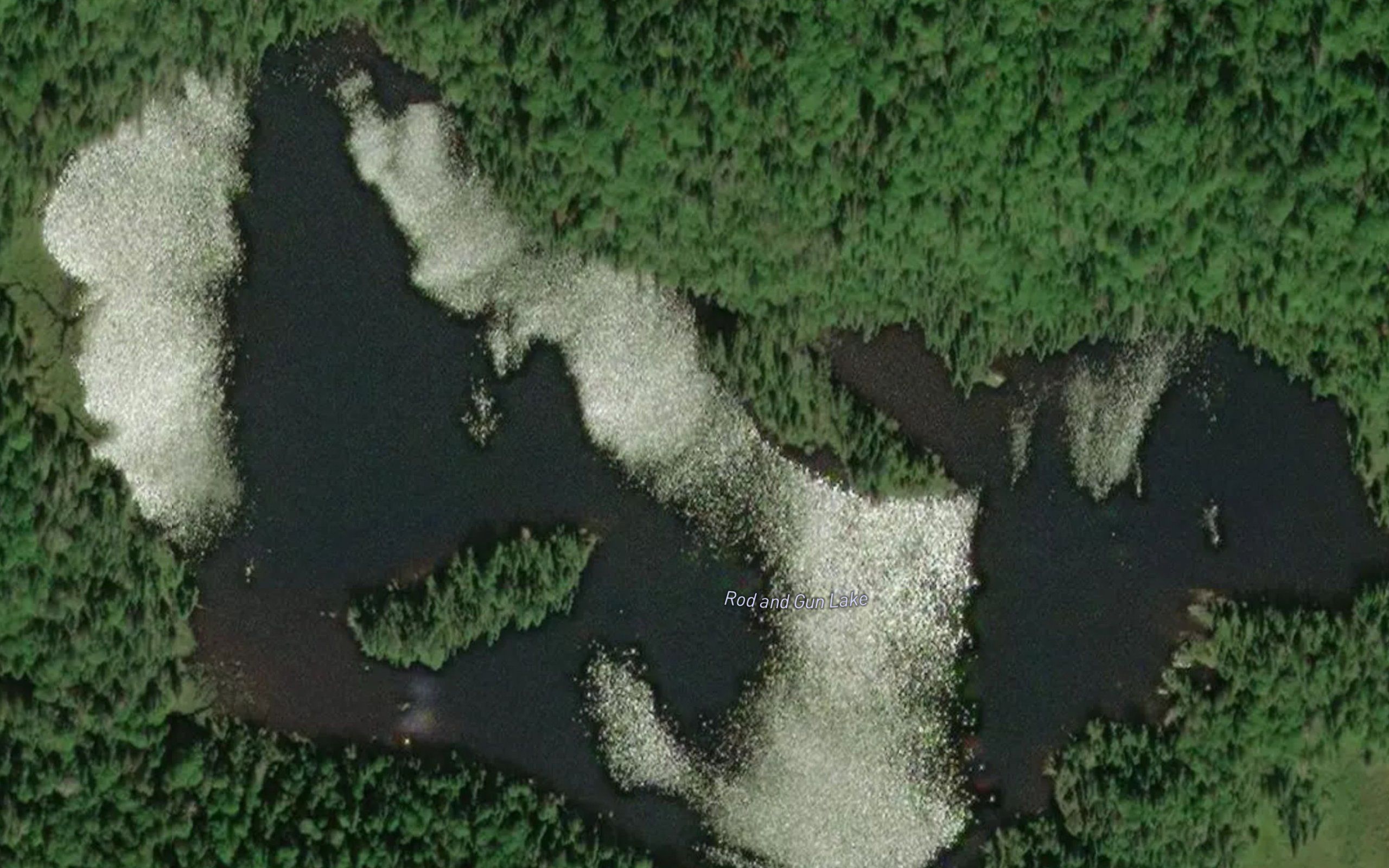 Rod and Gun Lake