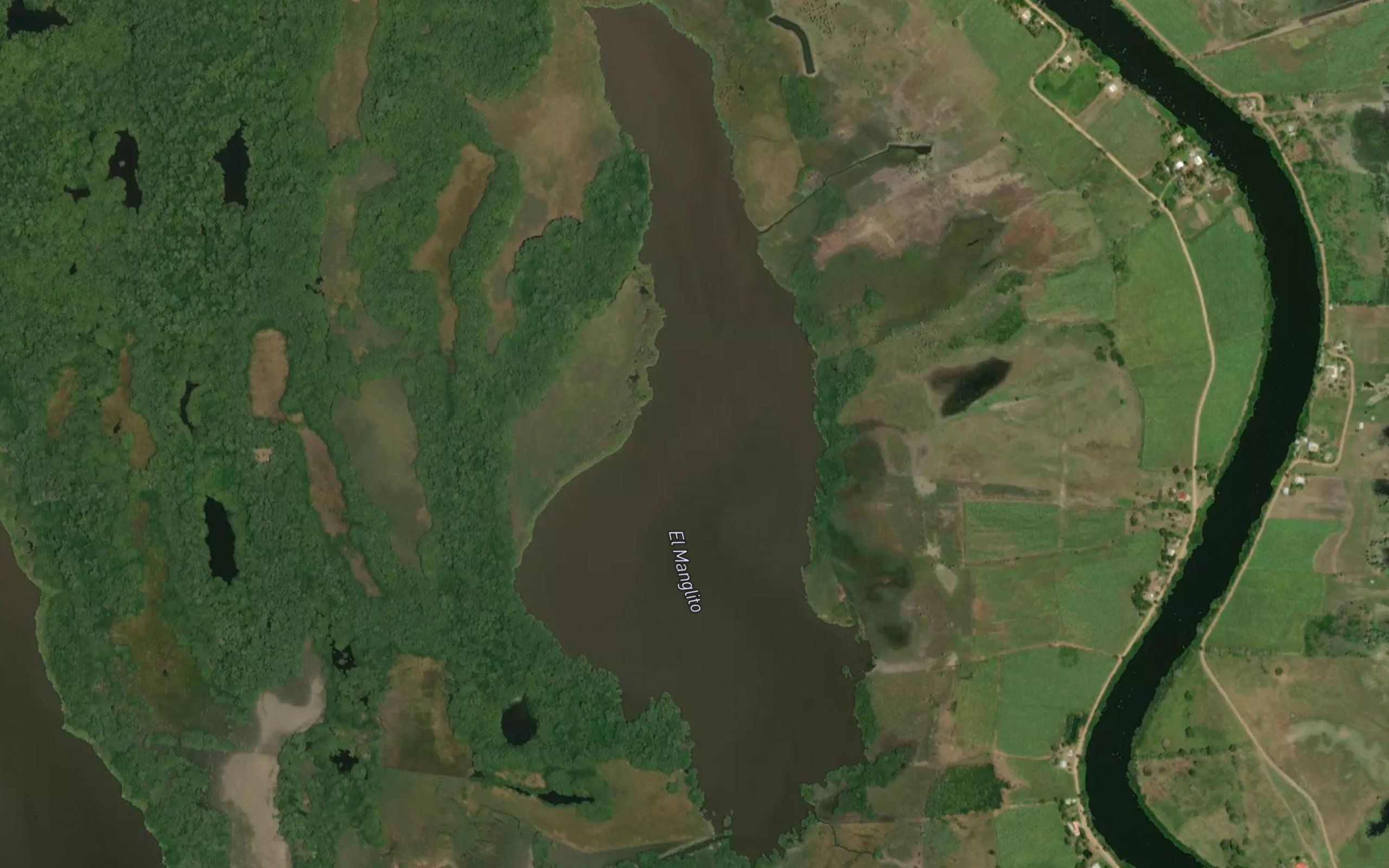 Laguna los Manglitos