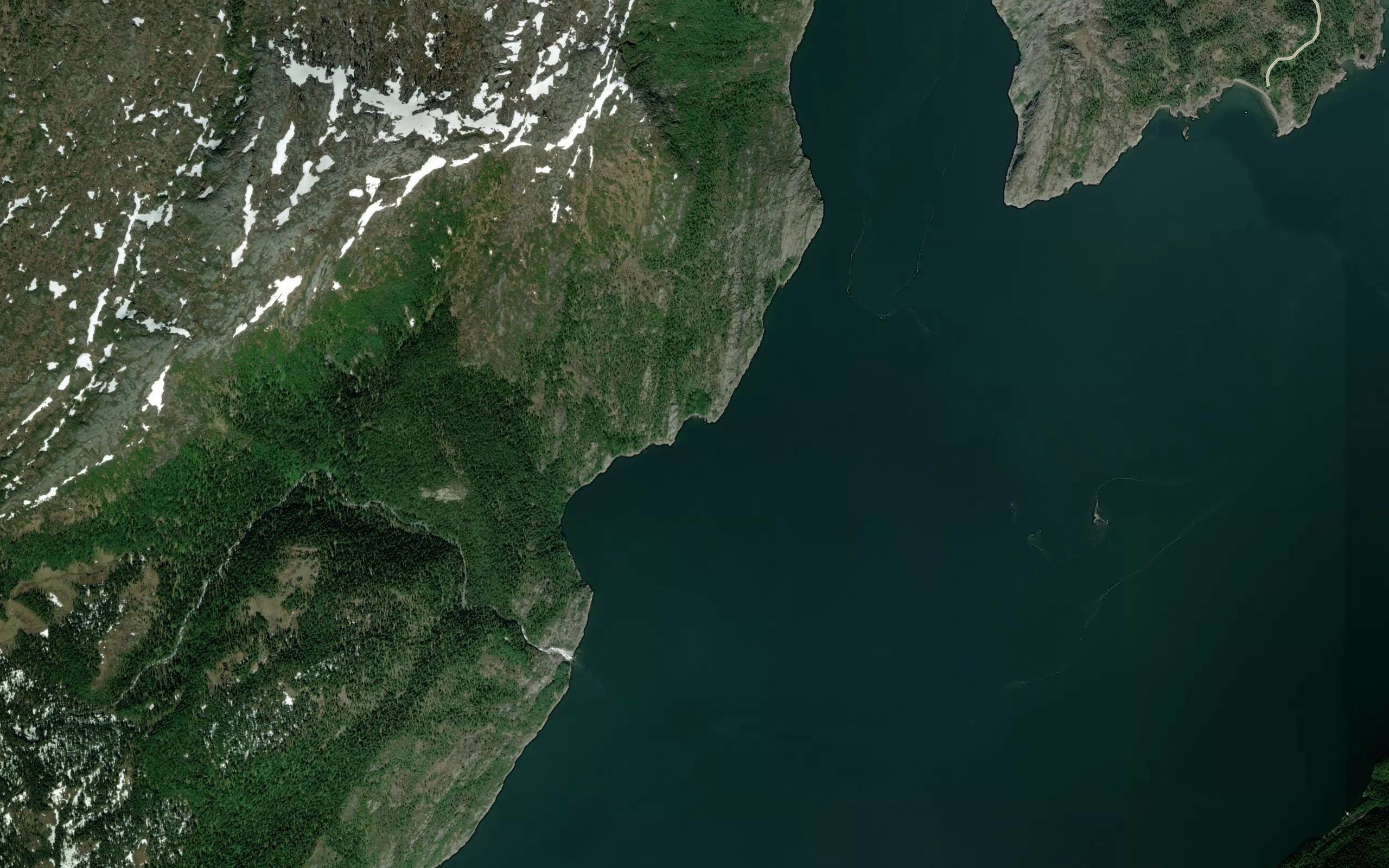 Aspvika
