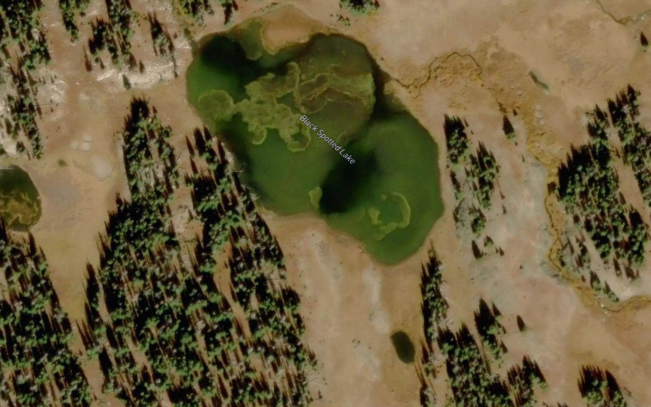 Black Spotted Lake