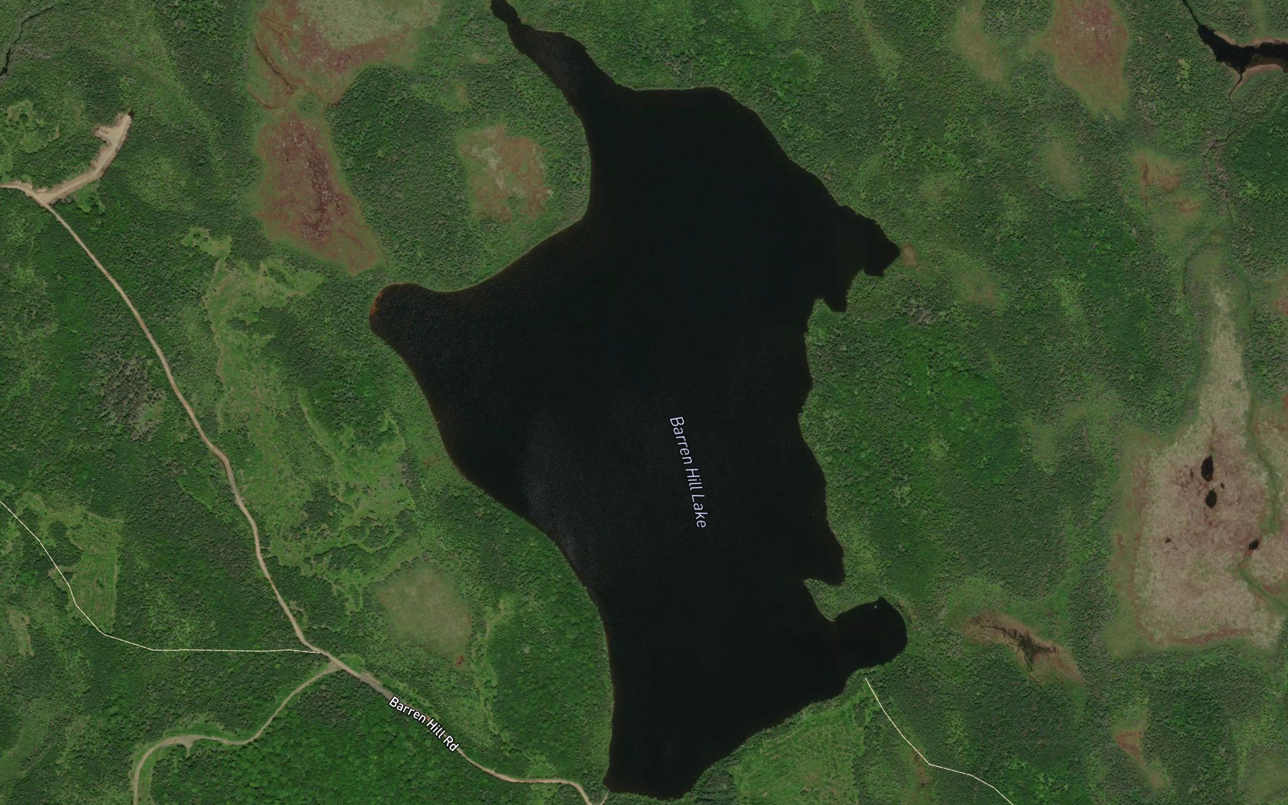 Barren Hill Lake