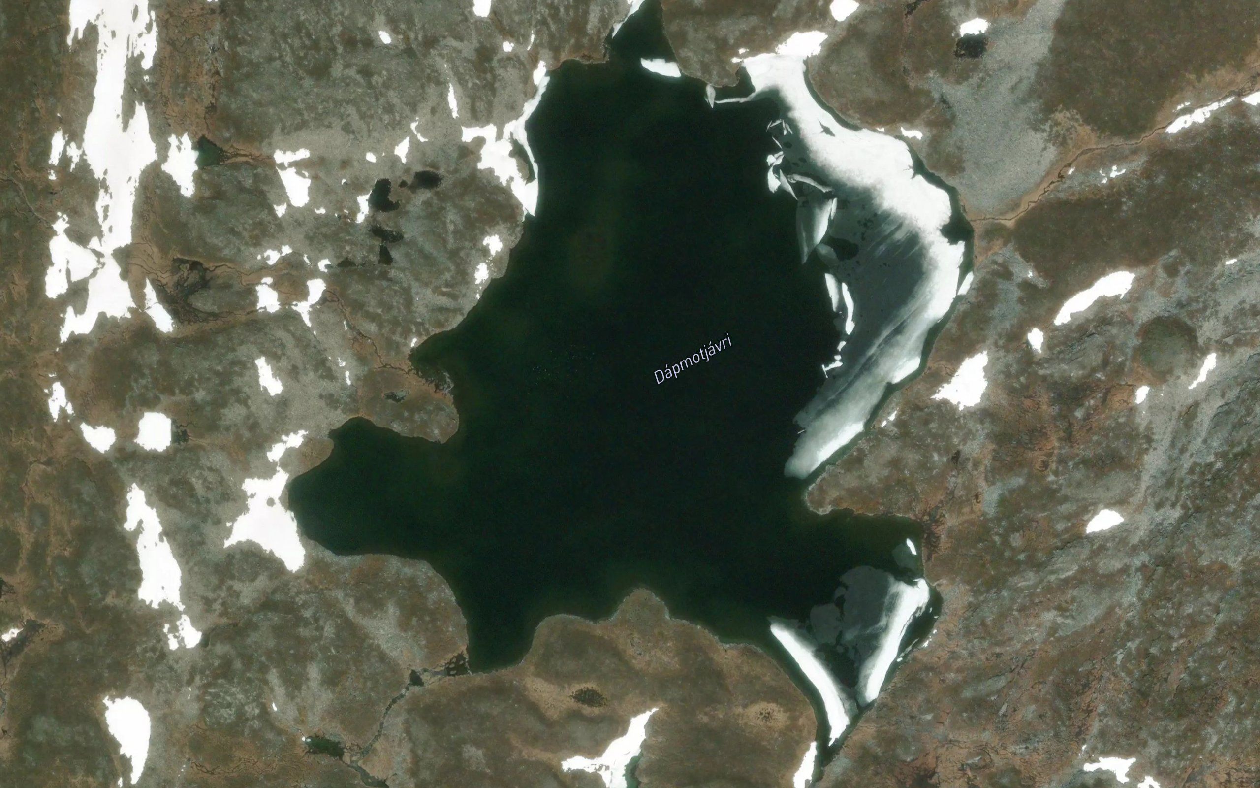 Dalmutjavri