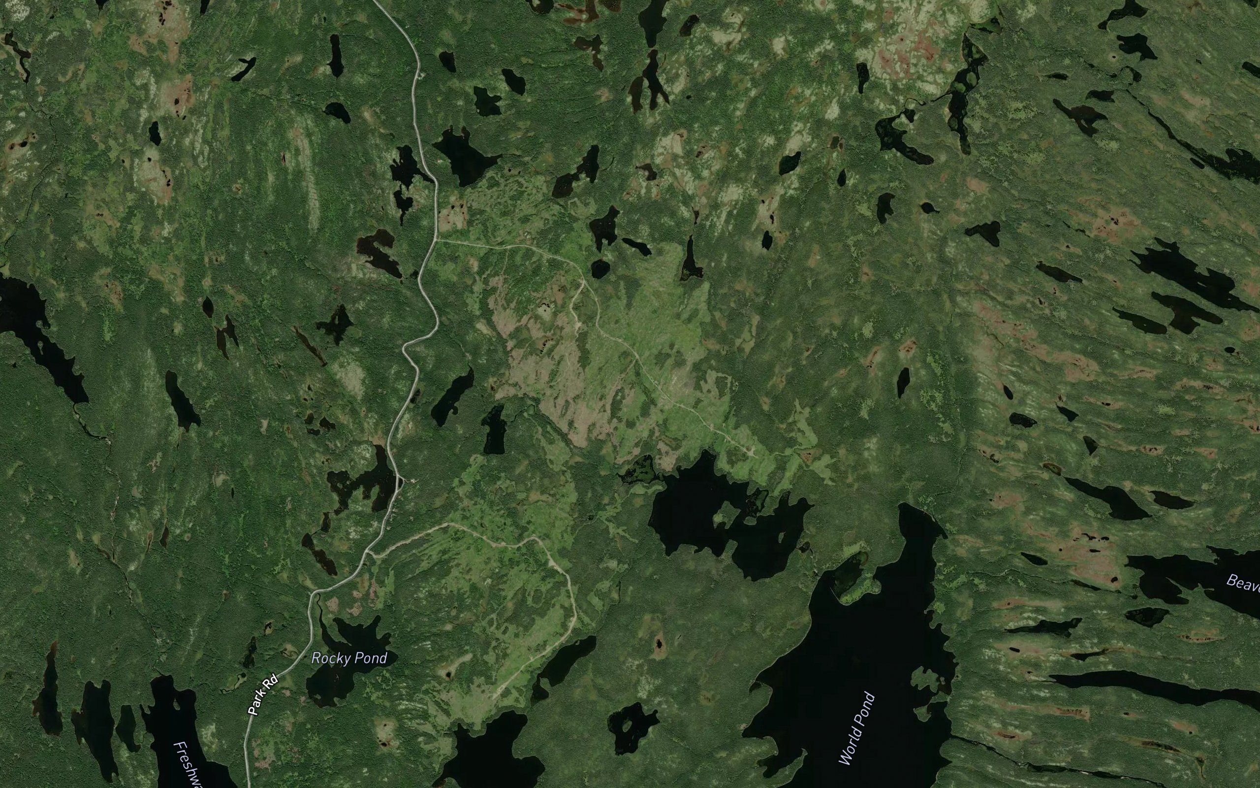 Northwest Pond
