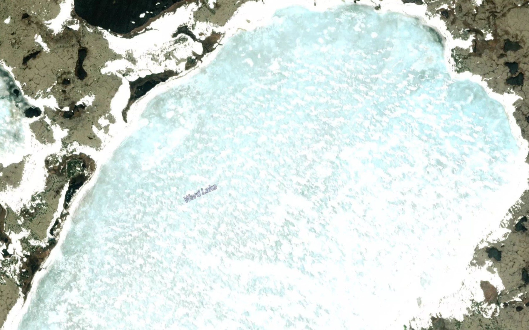 Satellite map of the Ward Lake