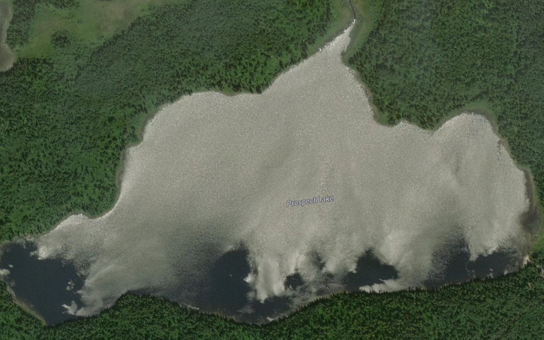 Satellite map of the Prospect Lake