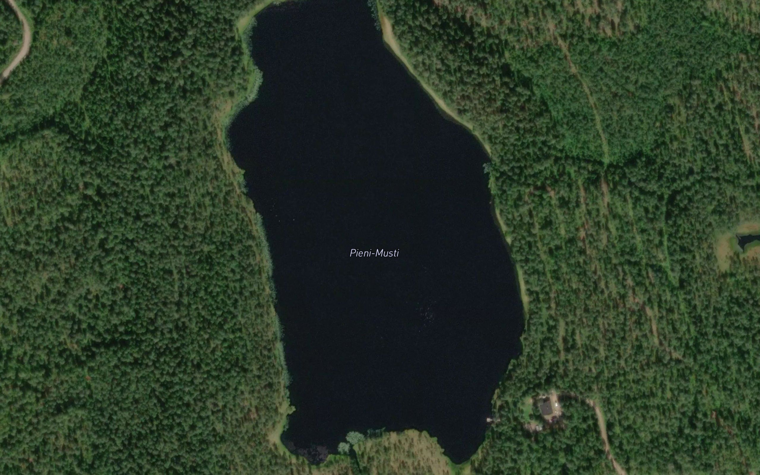 Pieni-Musti