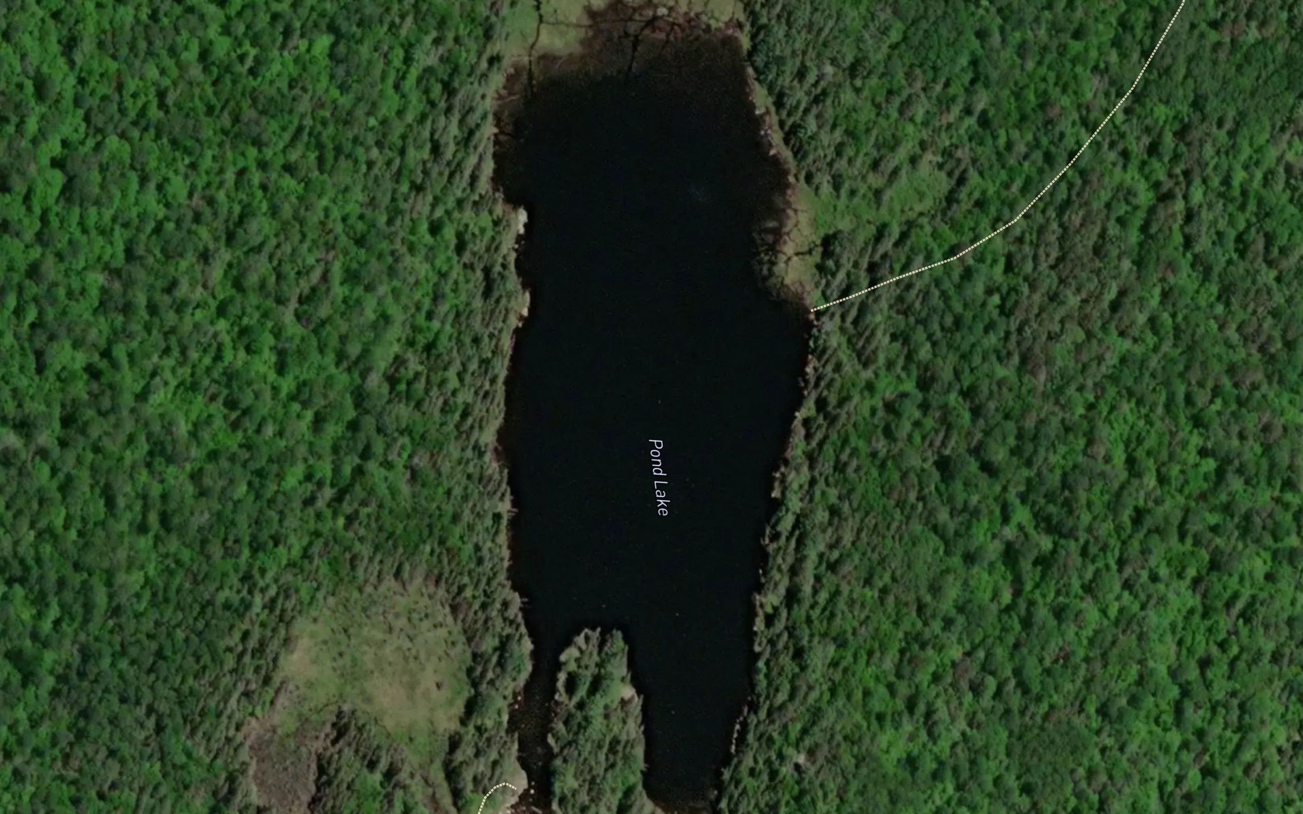 Pond Lake