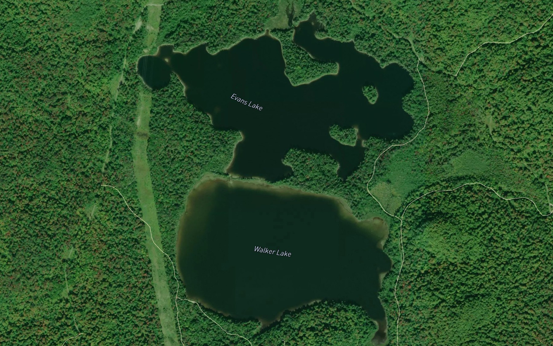 Satellite map of the Walker Lake