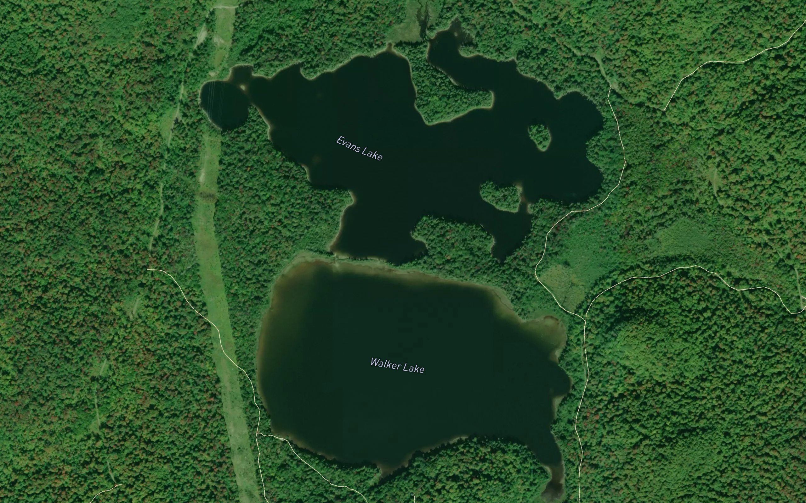Walker Lake