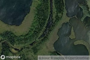 Crowded Fish Slough