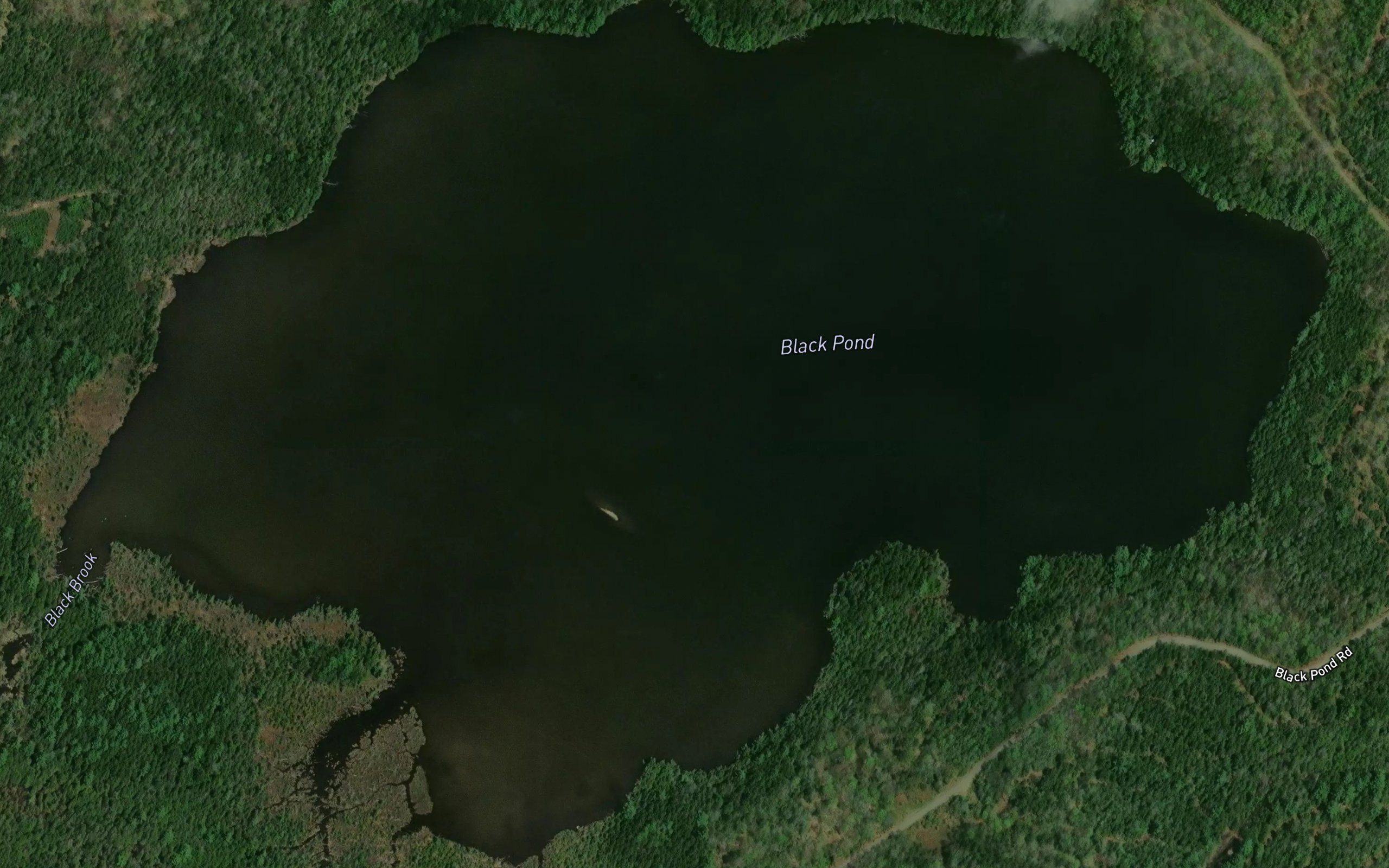 Black Pond