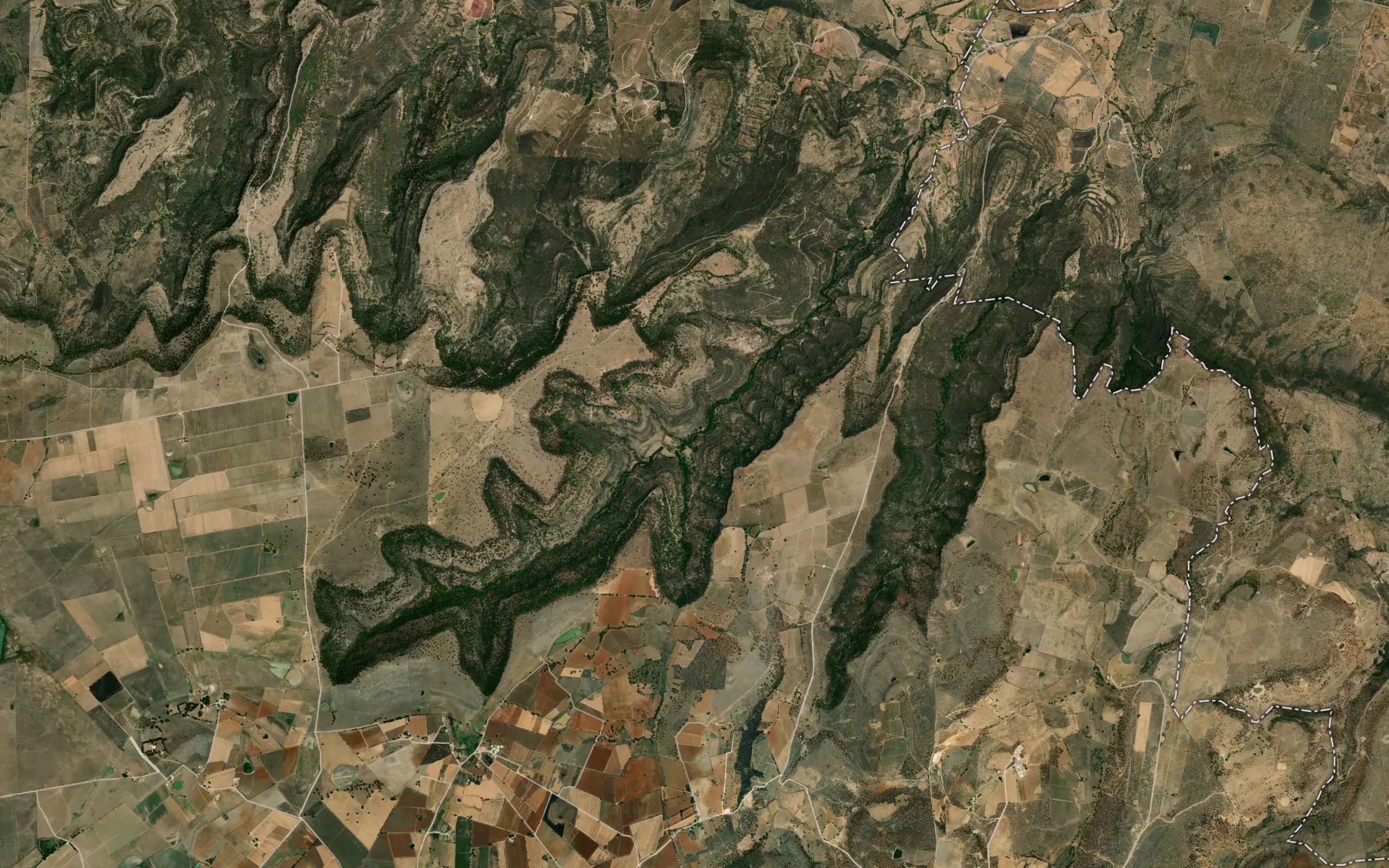 Barranca La Cienega