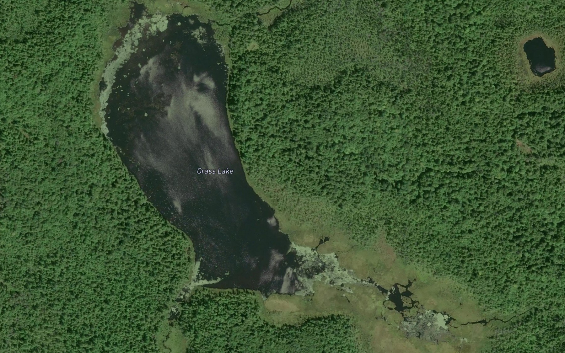 Satellite map of the Grass Lake
