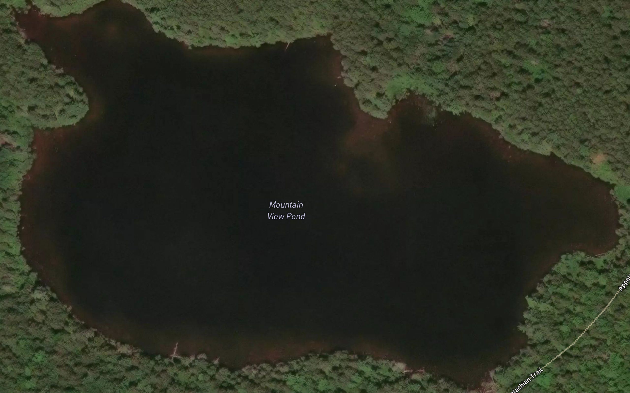 Mountain View Pond