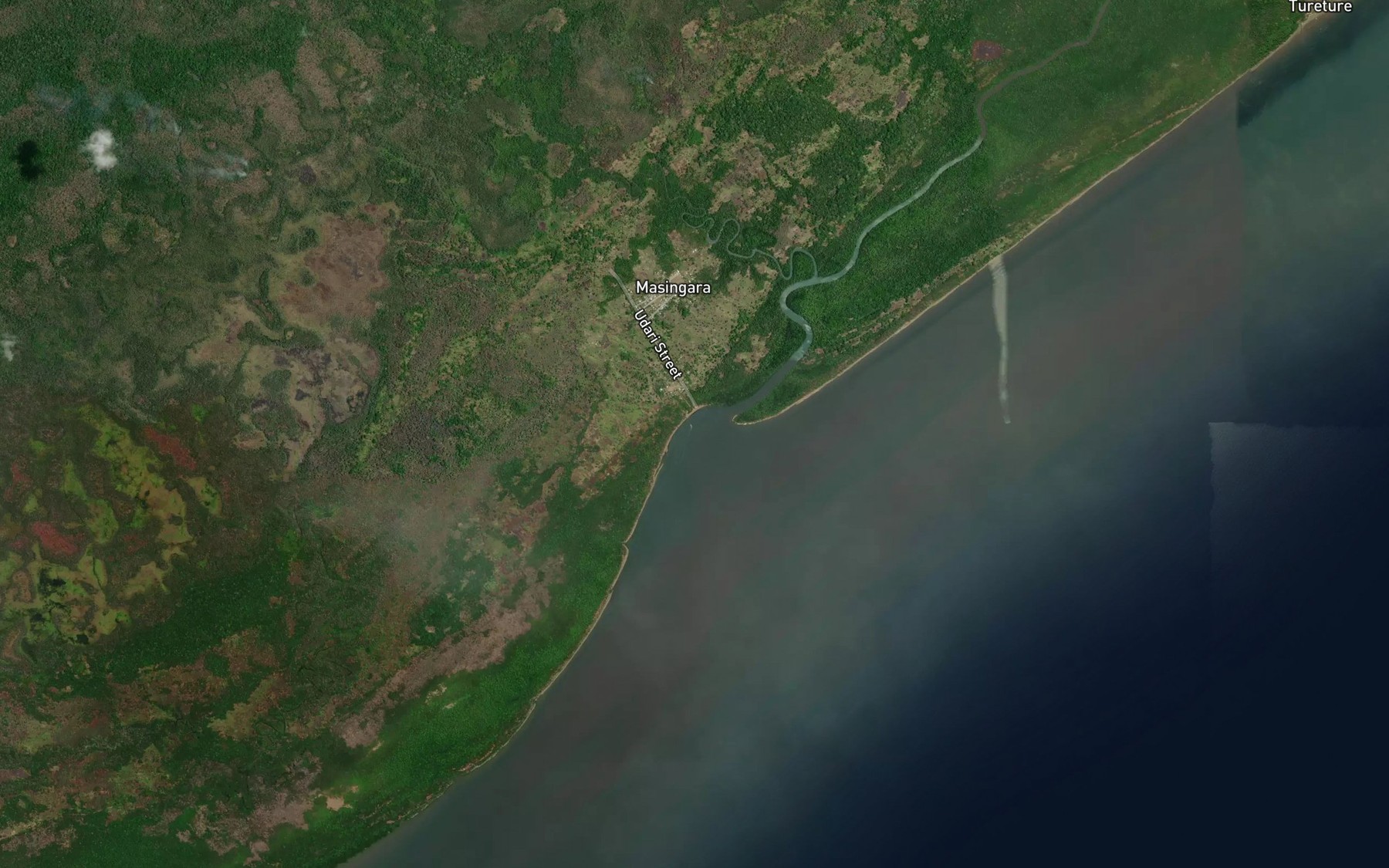 Satellite map of the Binaturi River