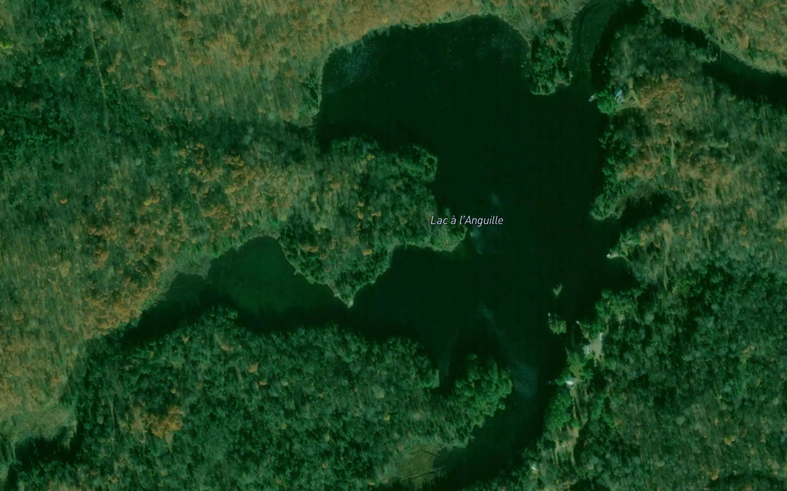 Lac a l'Anguille