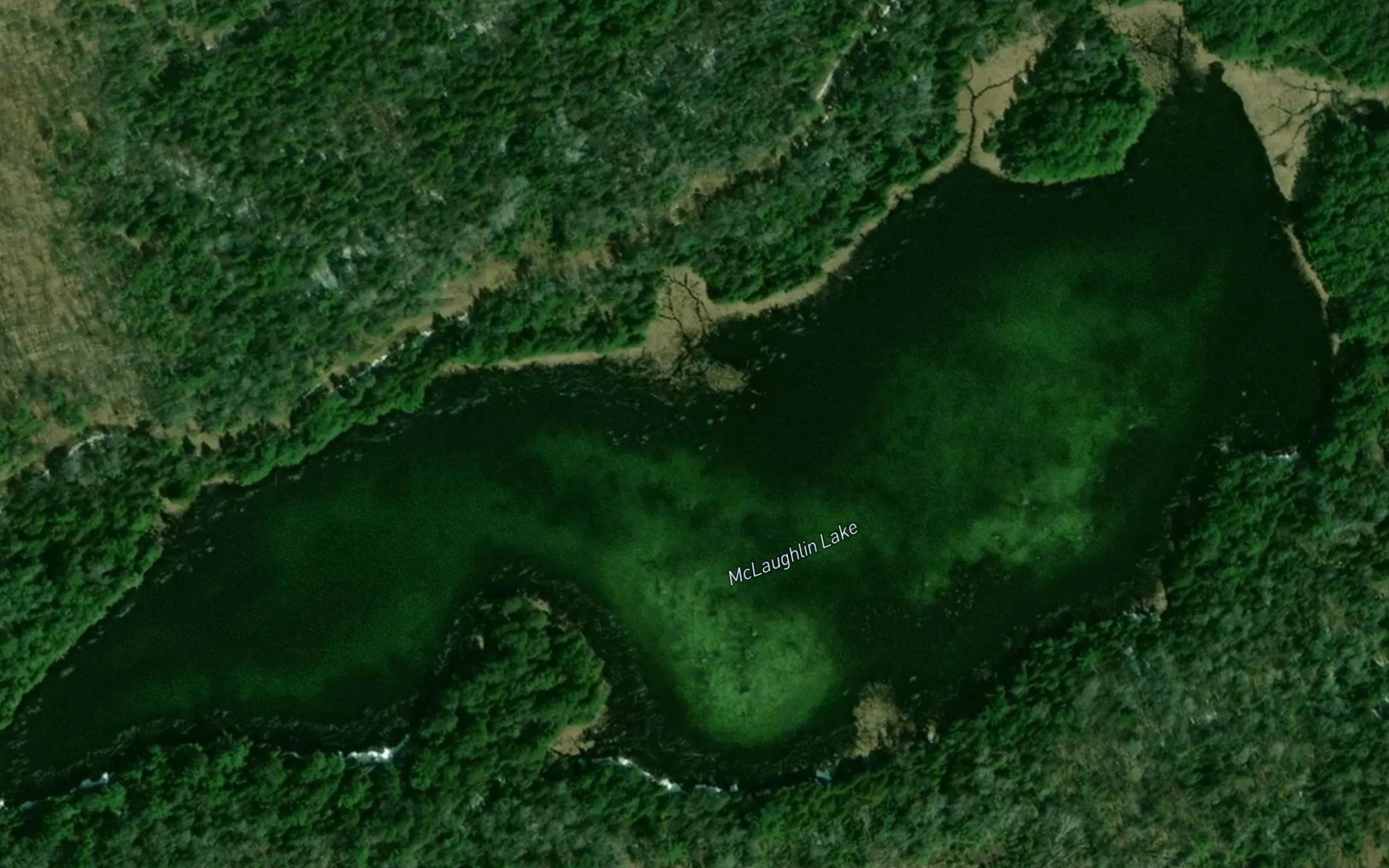 Satellite map of the McLaughlin Lake