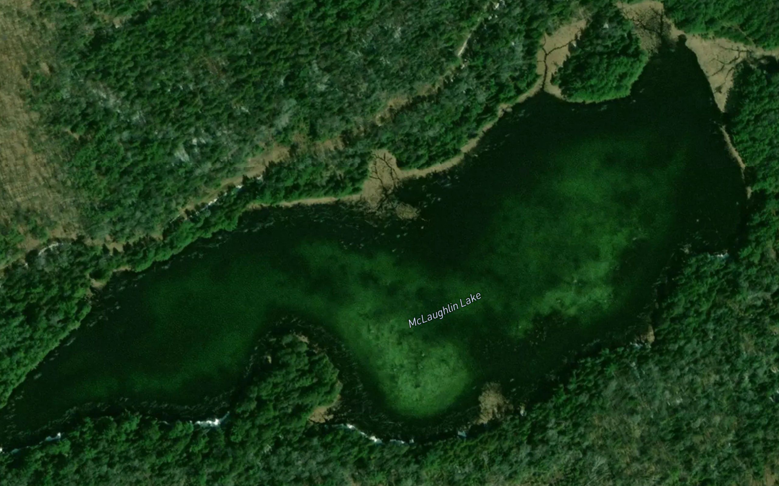 McLaughlin Lake