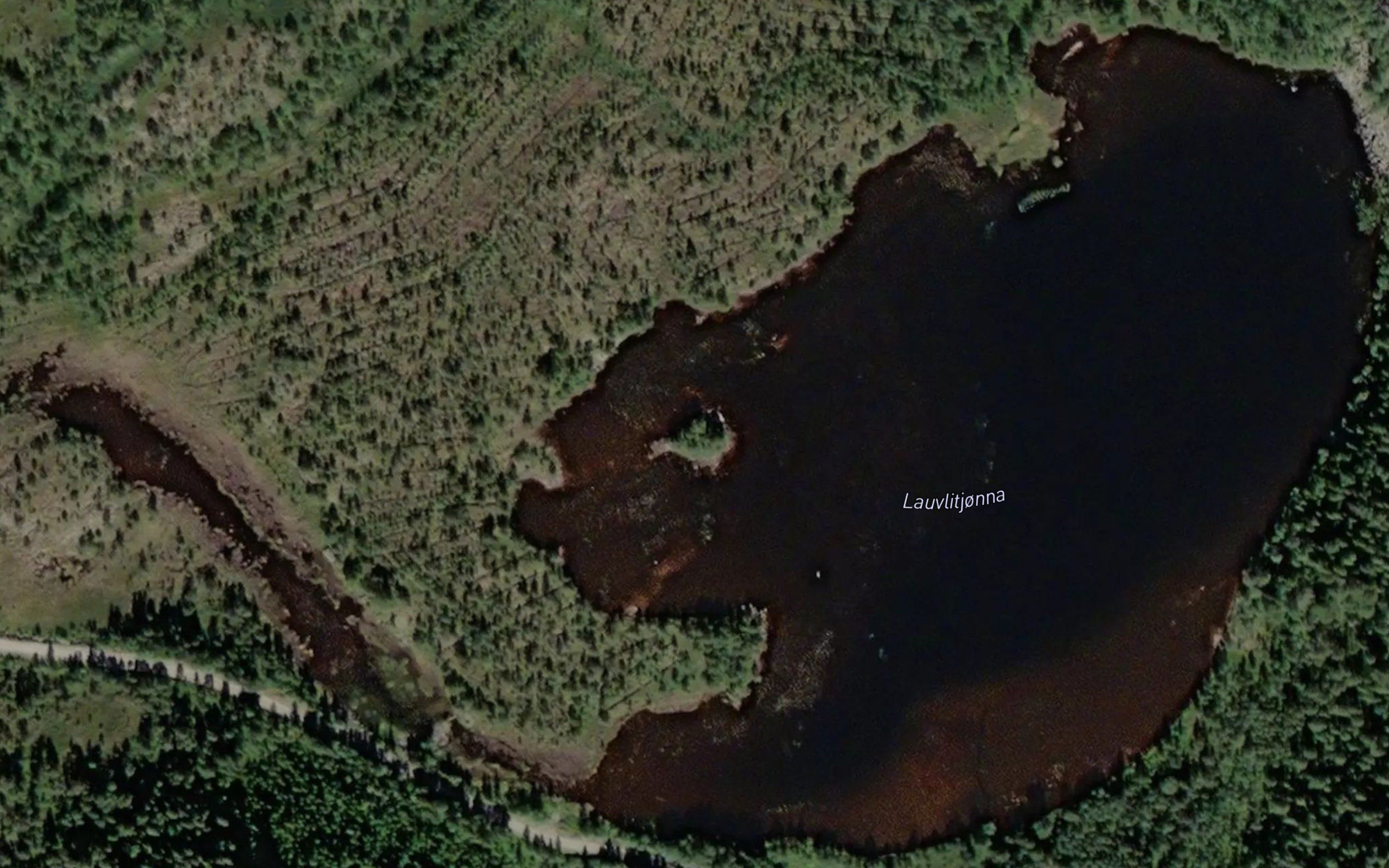 Lauvlitjorna