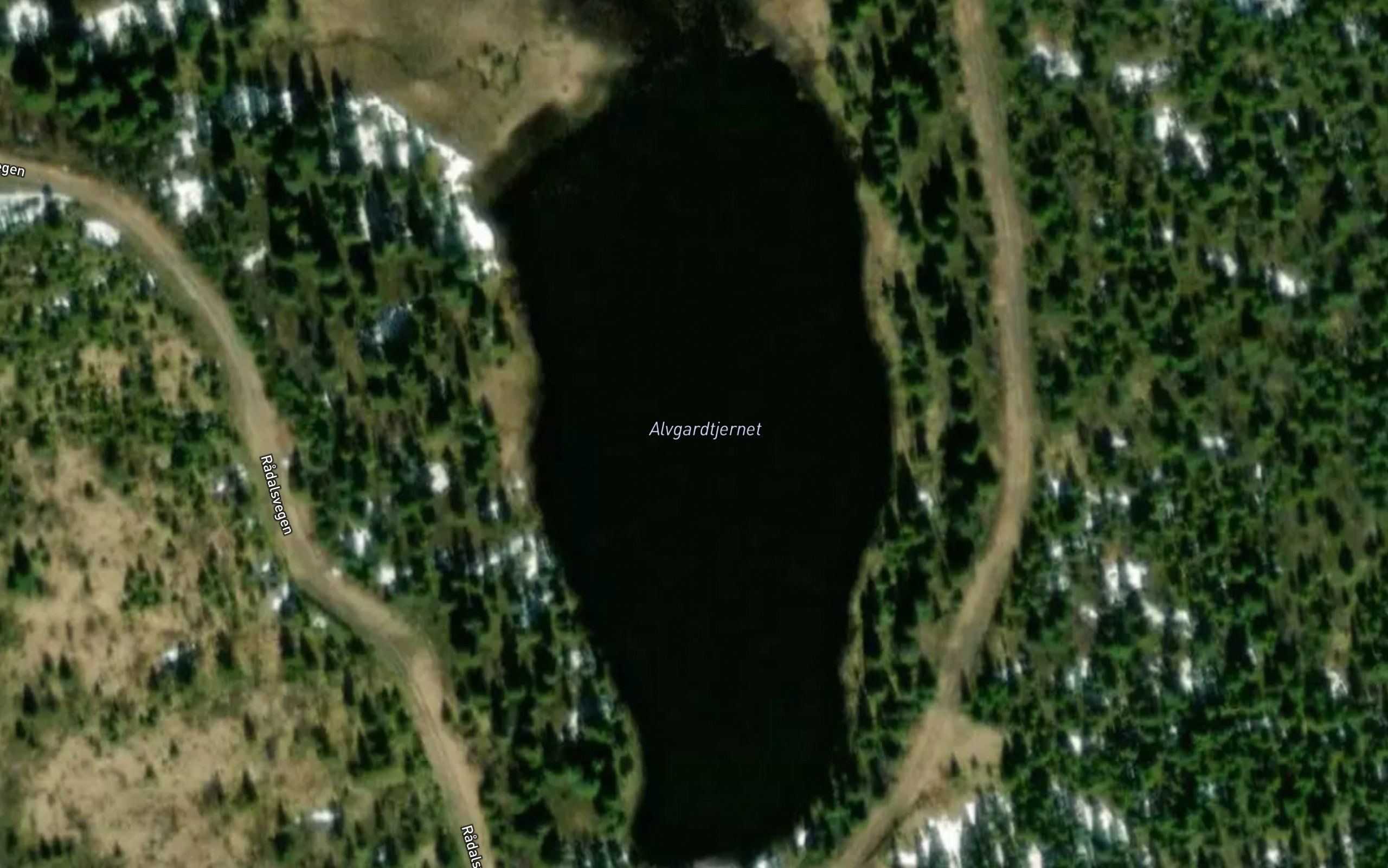 Alvgardtjernet