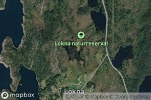 Loknatjorna